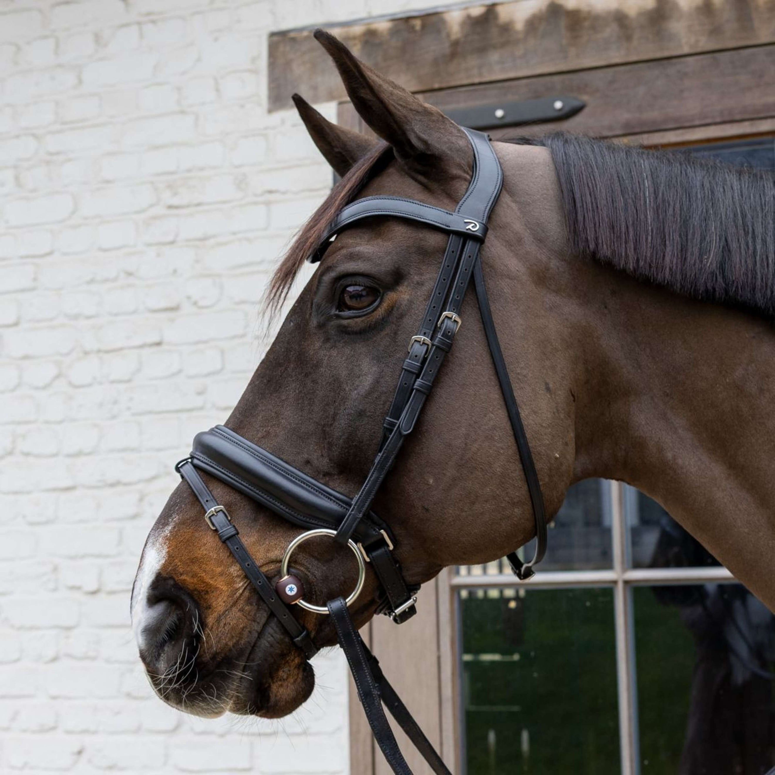 Velari Loose Ring Snaffle Flex Hard 20mm