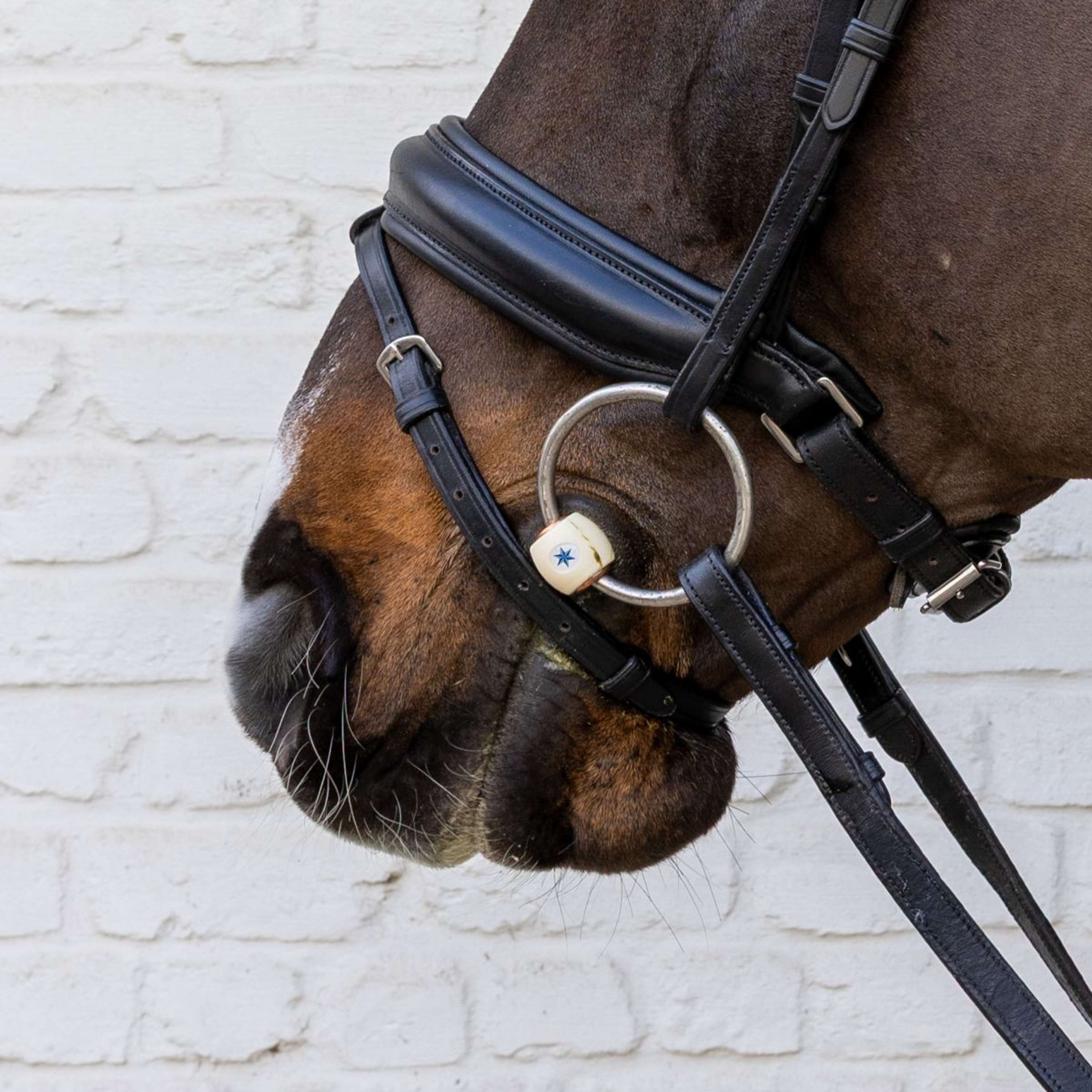 Velari Loose Ring Snaffle Flex Soft 20mm