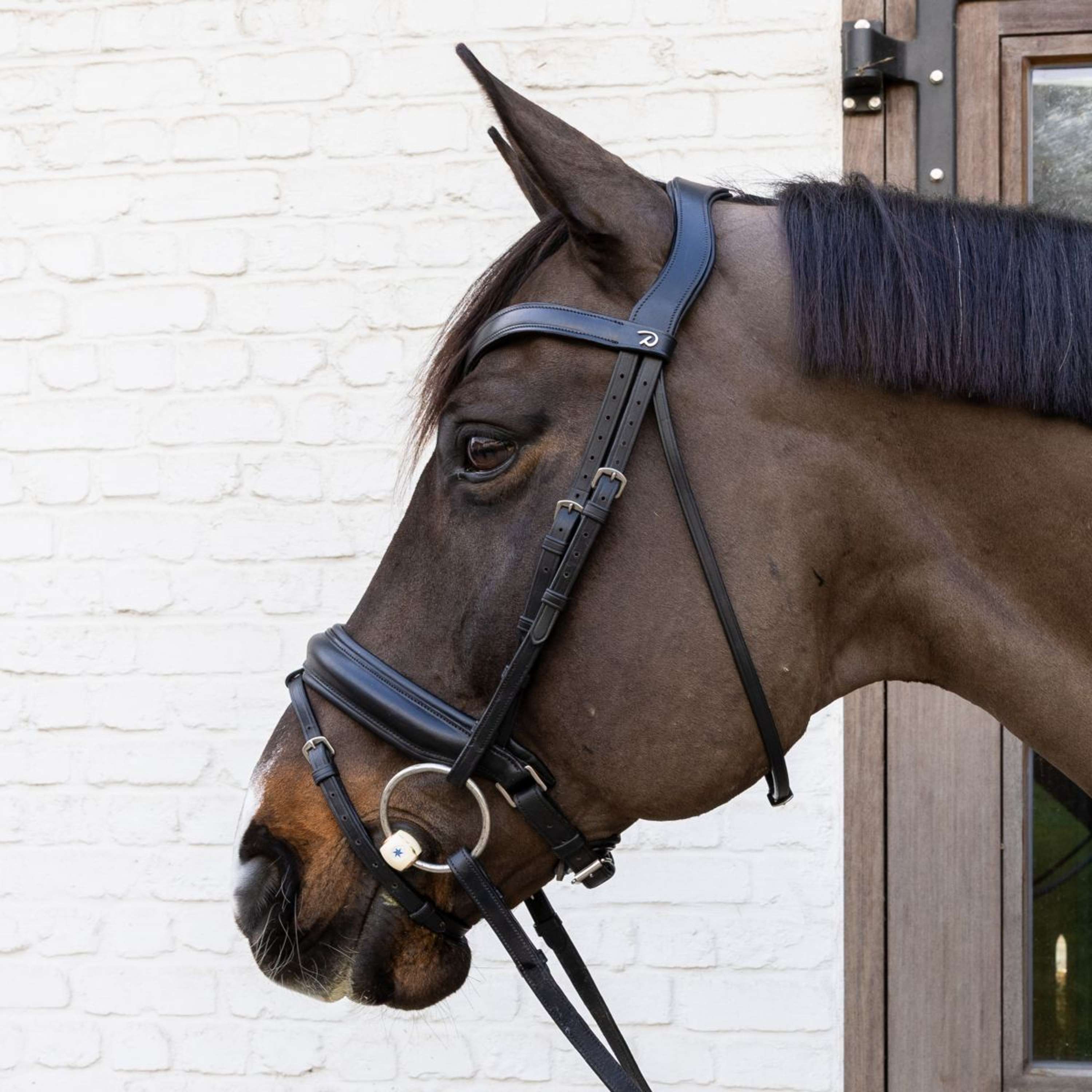 Velari Loose Ring Snaffle Flex Soft 20mm