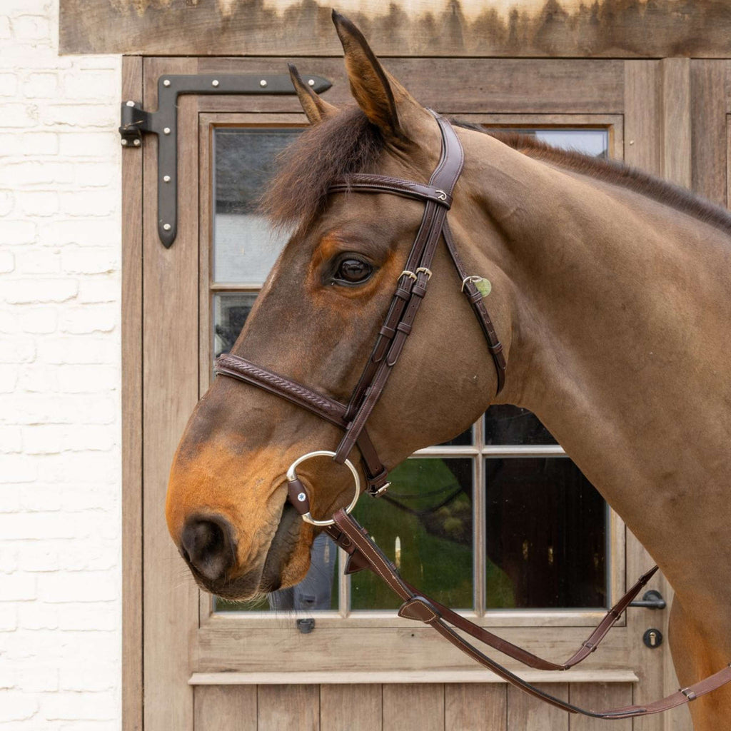 Velari Bust snaffle Flex Hard 20mm