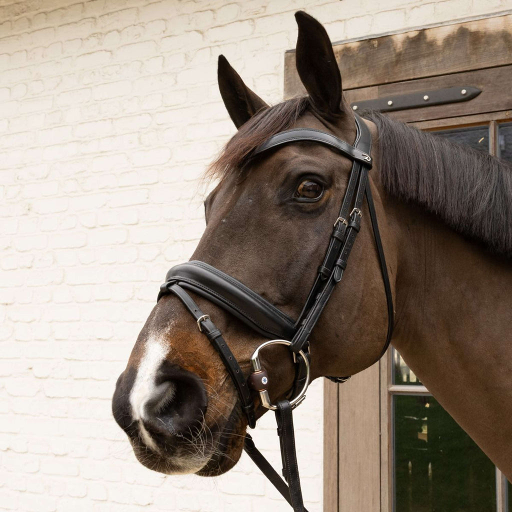 Velari Bust snaffle Flex Hard 20mm