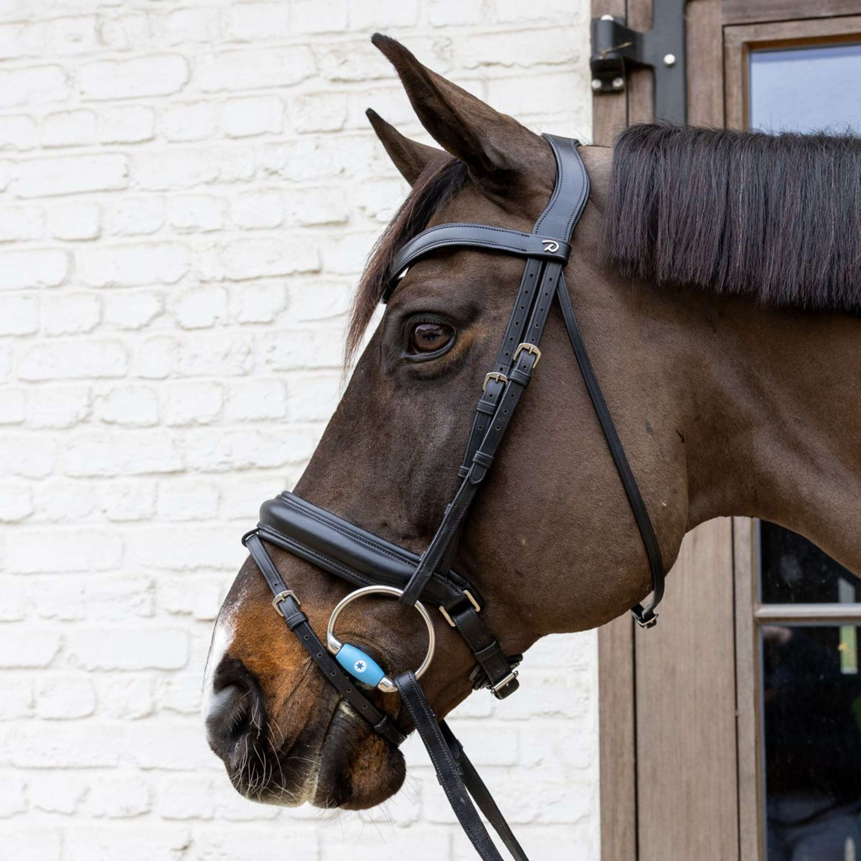 Velari Bust snaffle Flex Medium 20mm
