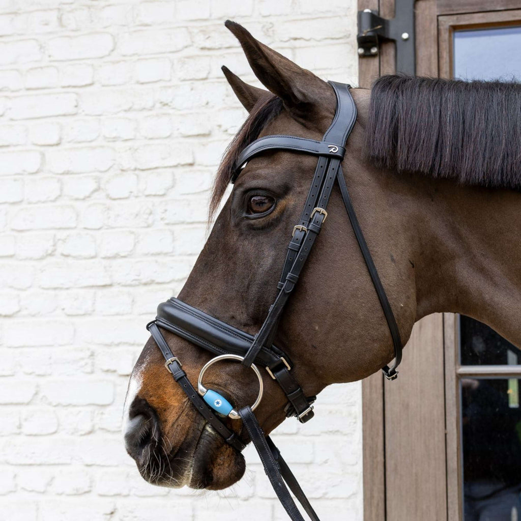 Velari Bust snaffle Flex Medium 20mm