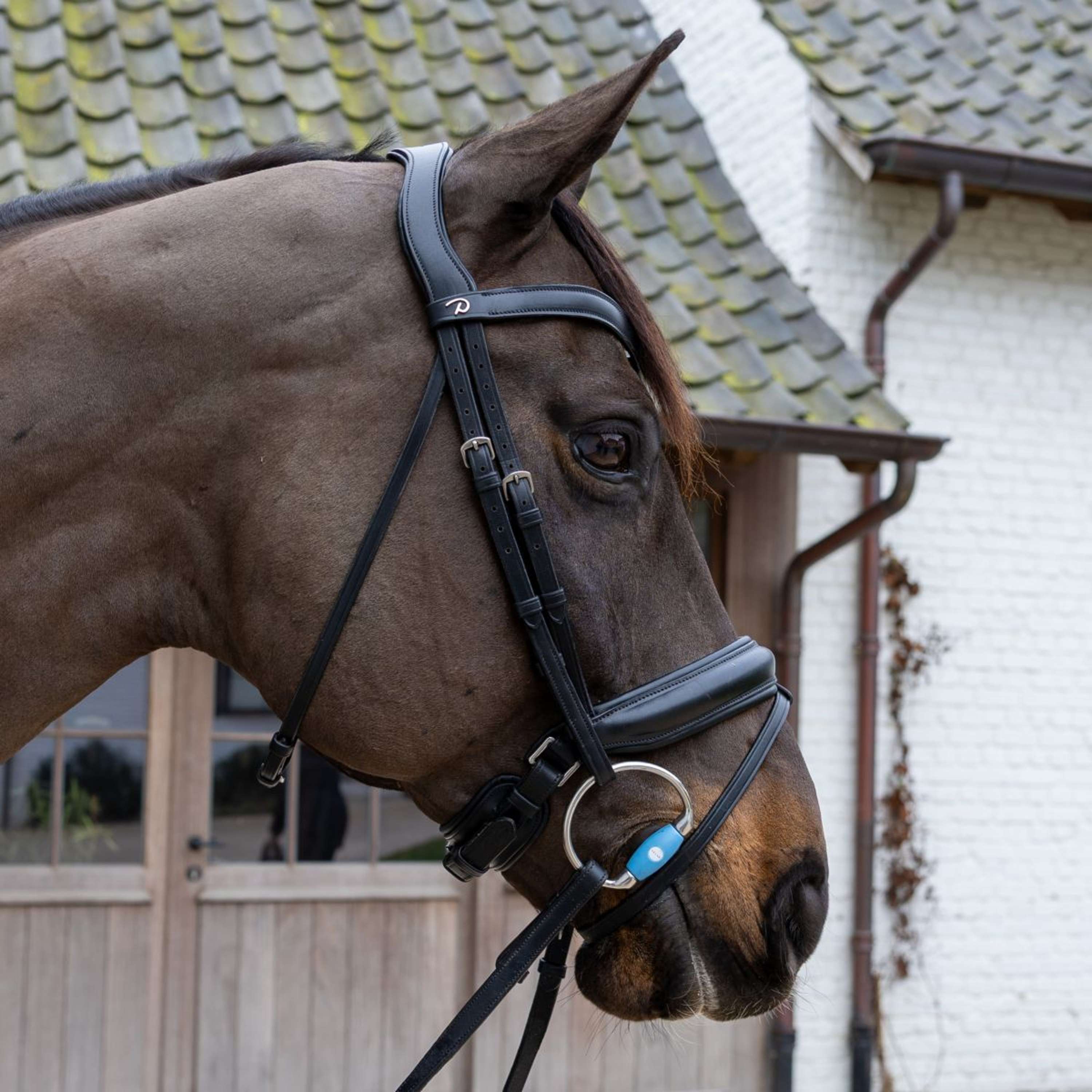 Velari Bust snaffle Flex Medium 20mm