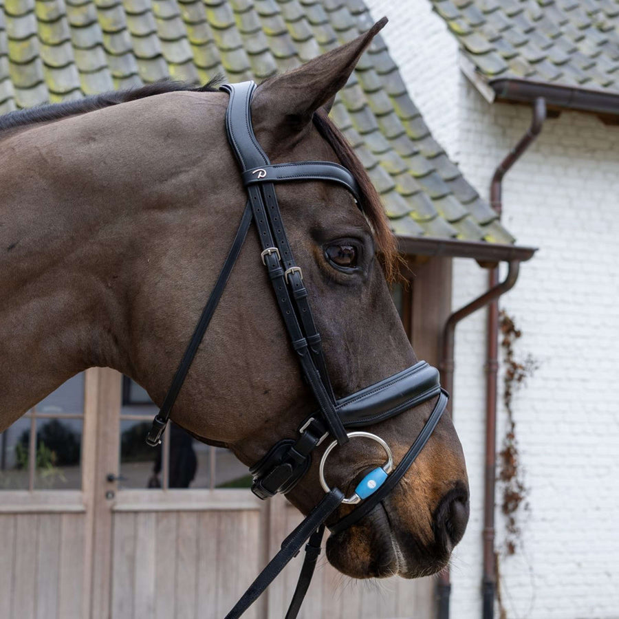 Velari Bust snaffle Flex Medium 20mm