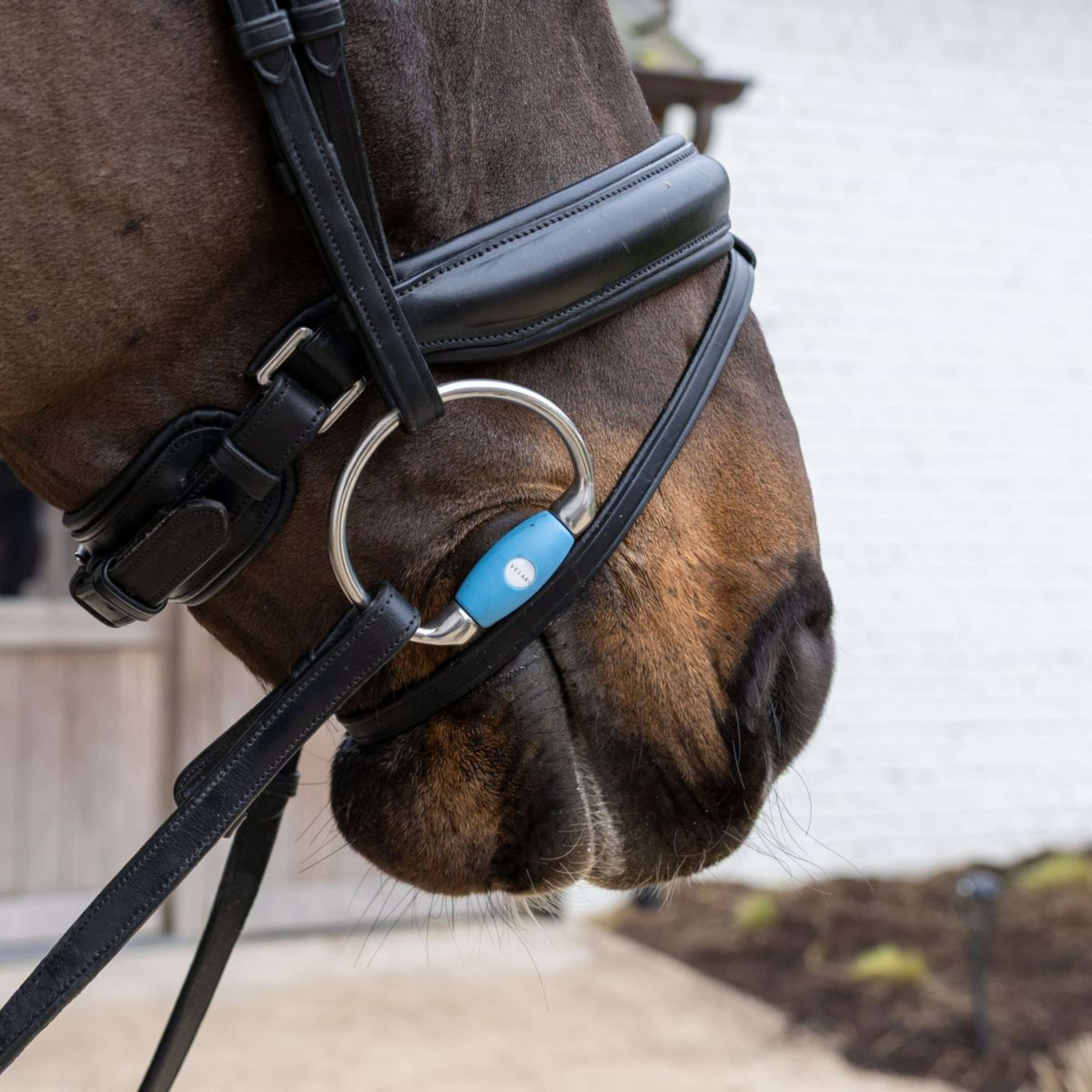 Velari Bust snaffle Flex Medium 20mm