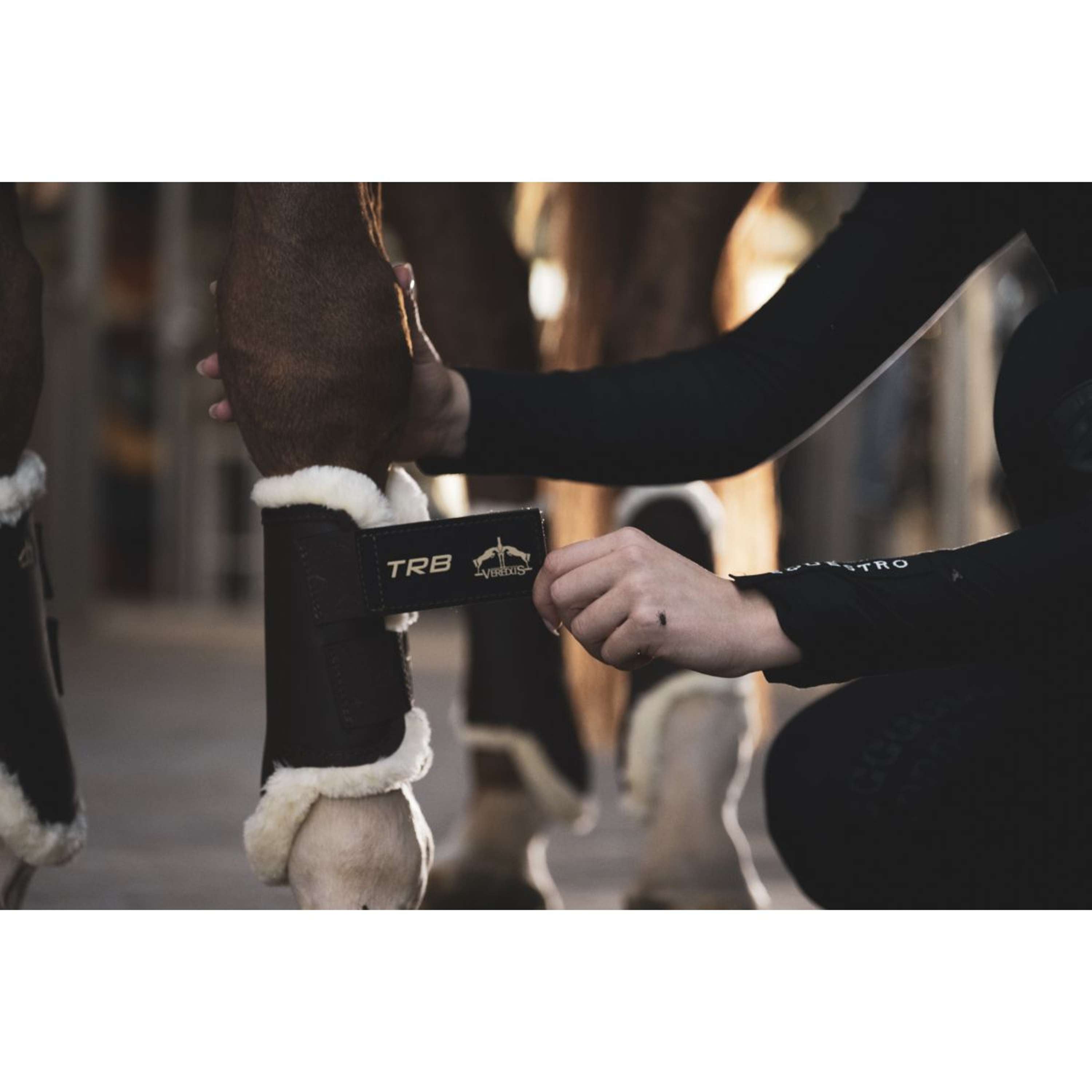 Veredus Leg Protectors TRB Save the Sheep Front Black