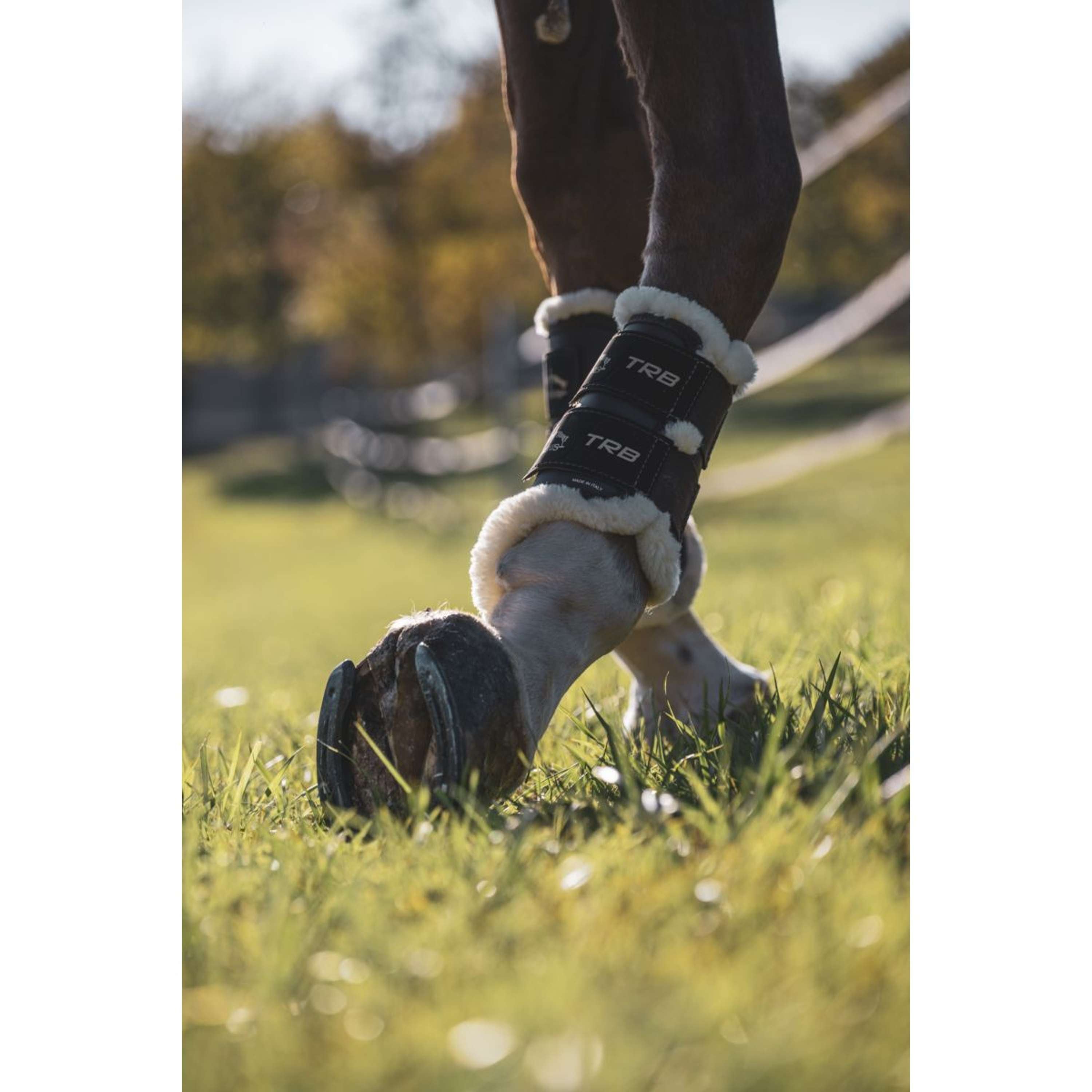 Veredus Leg Protectors TRB Save the Sheep Front Black
