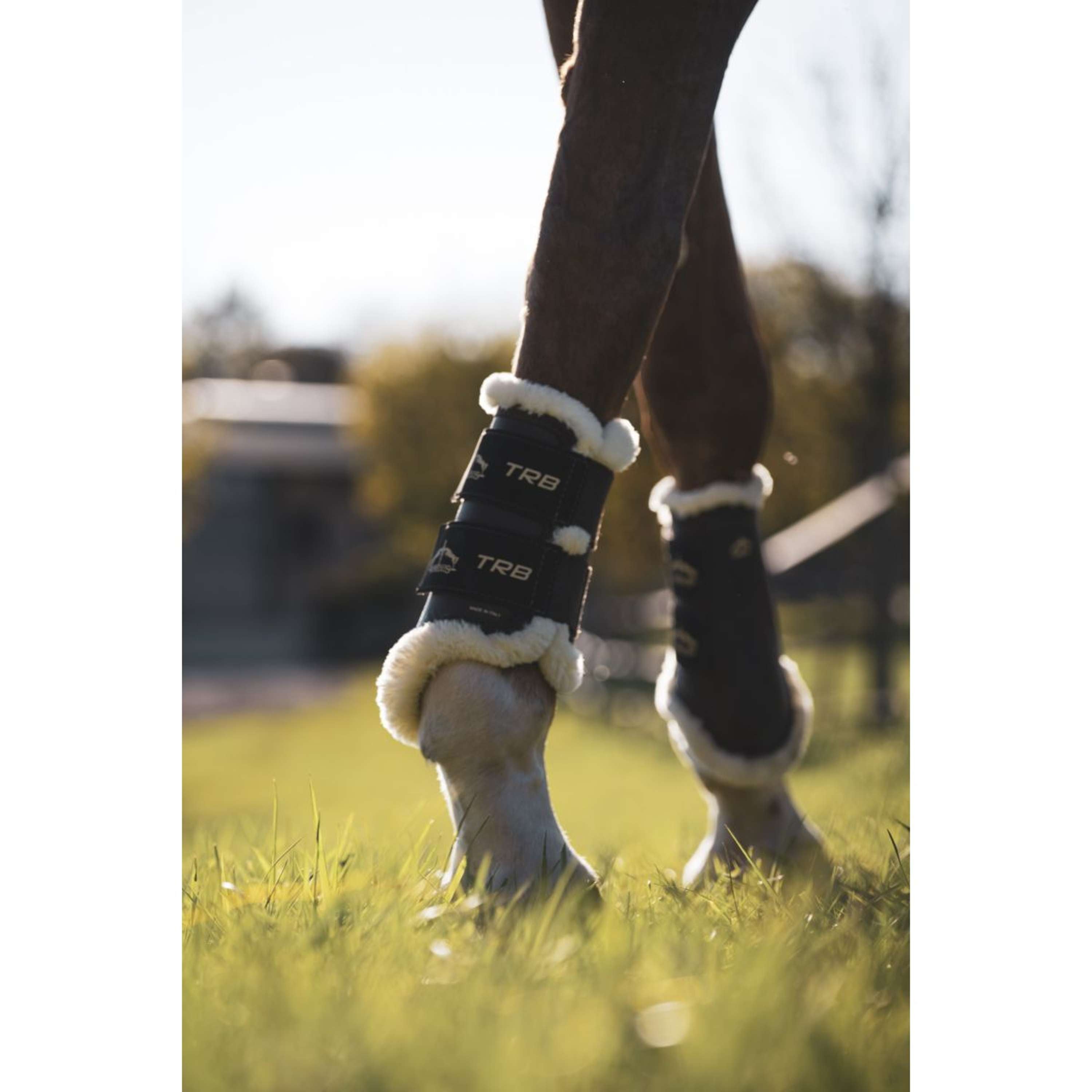 Veredus Leg Protectors TRB Save the Sheep Front Black
