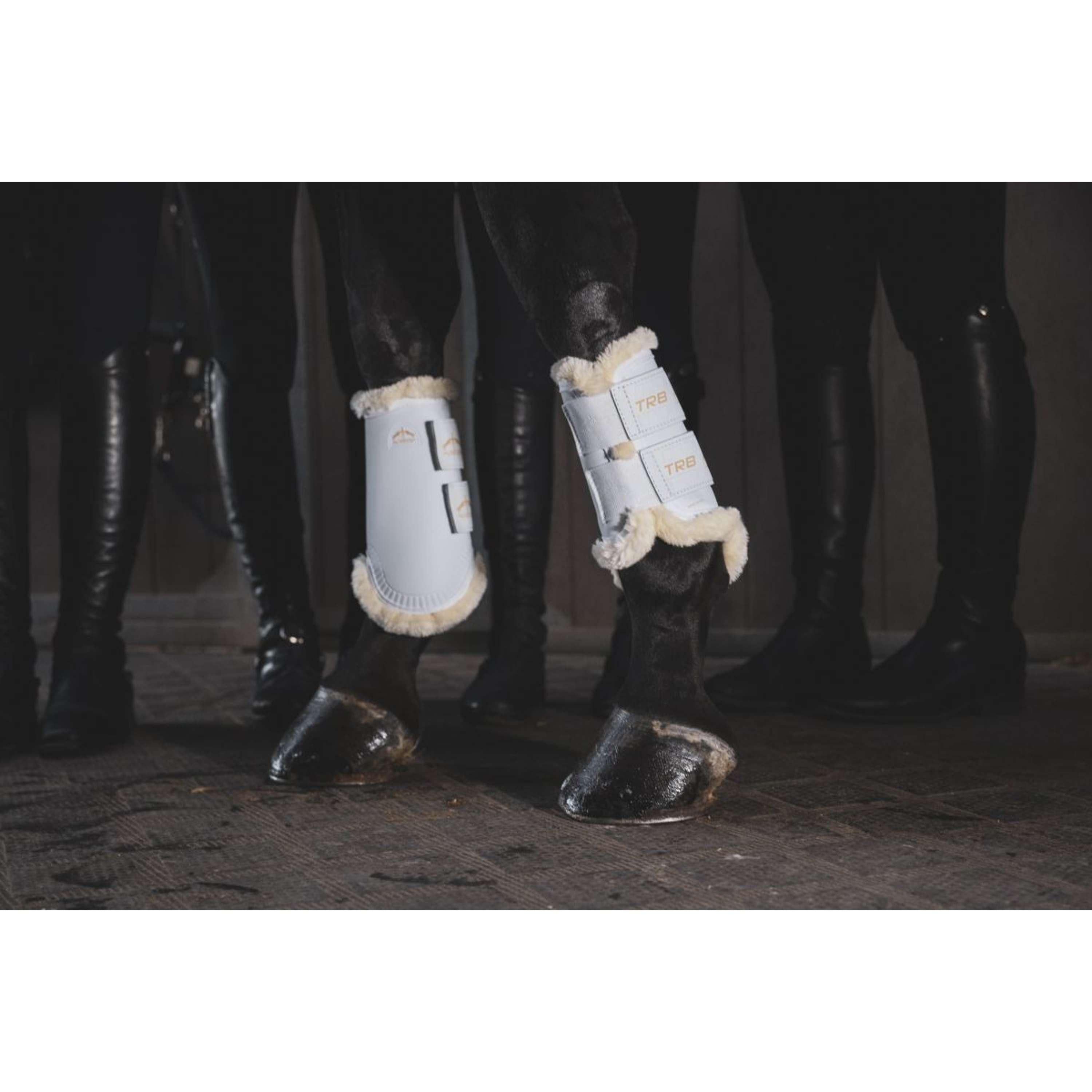 Veredus Leg Protectors TRB Save the Sheep Rear White