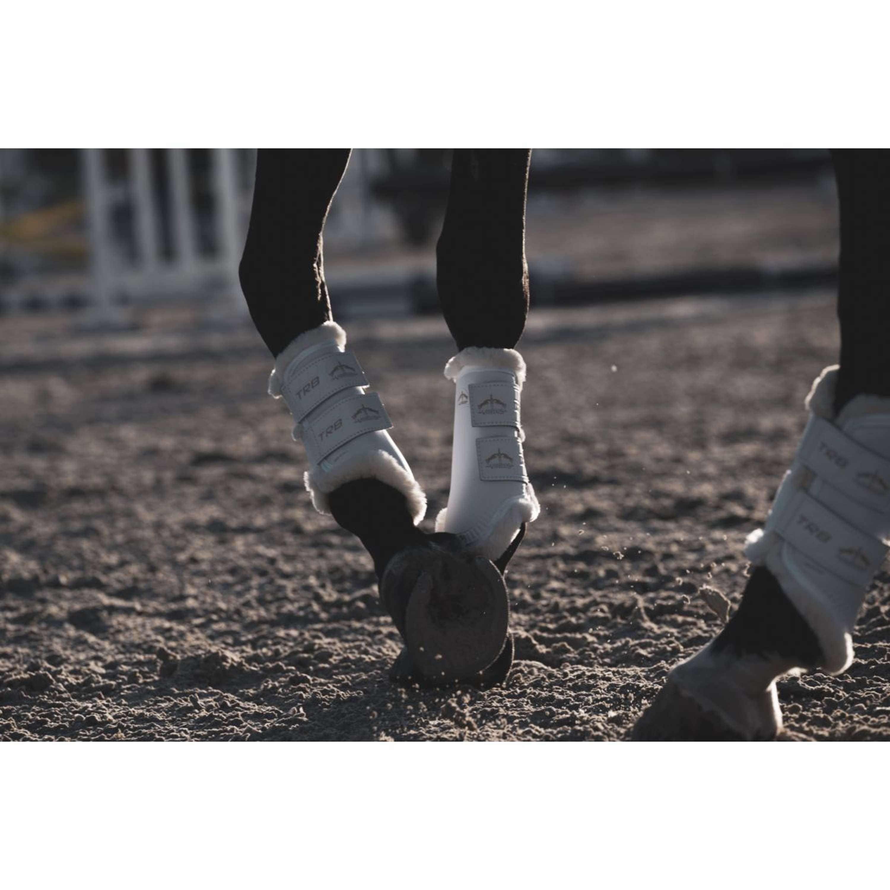 Veredus Leg Protectors TRB Save the Sheep Front White