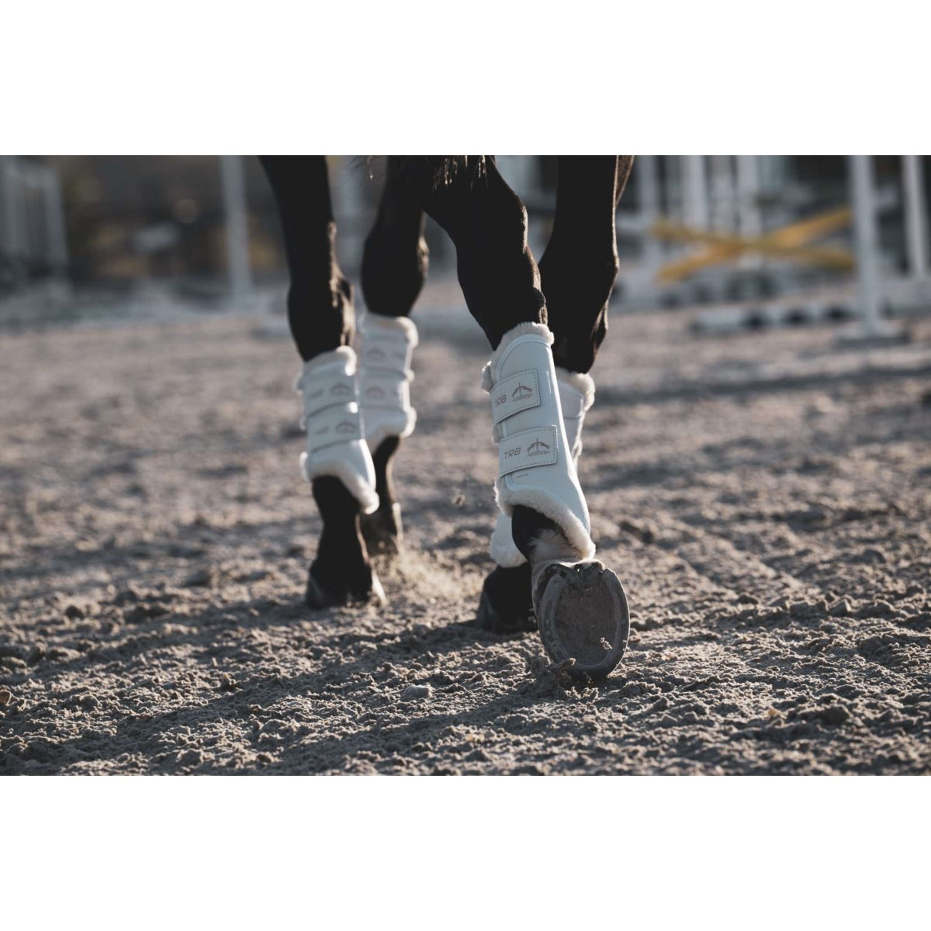 Veredus Leg Protectors TRB Save the Sheep Rear White