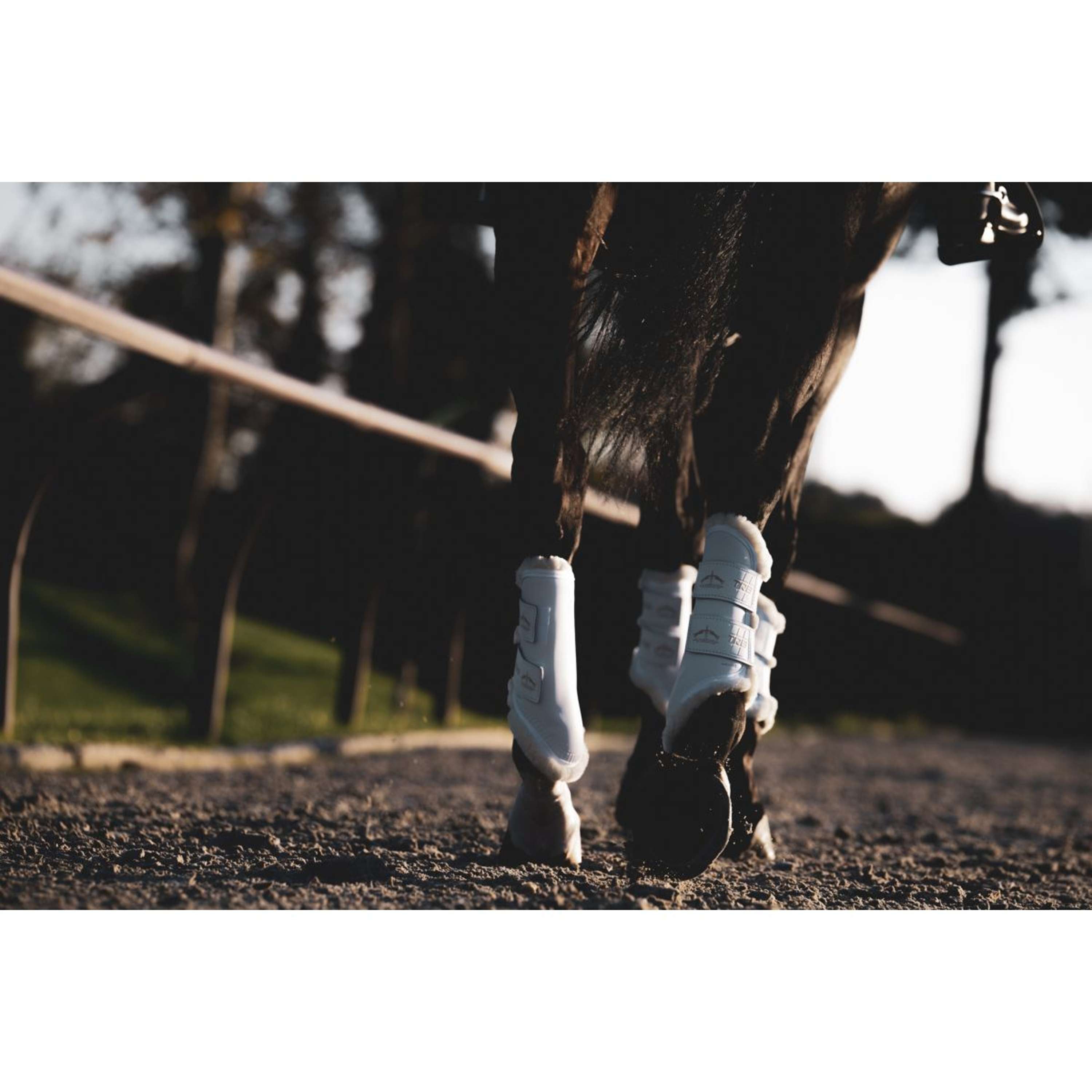 Veredus Leg Protectors TRB Save the Sheep Rear White