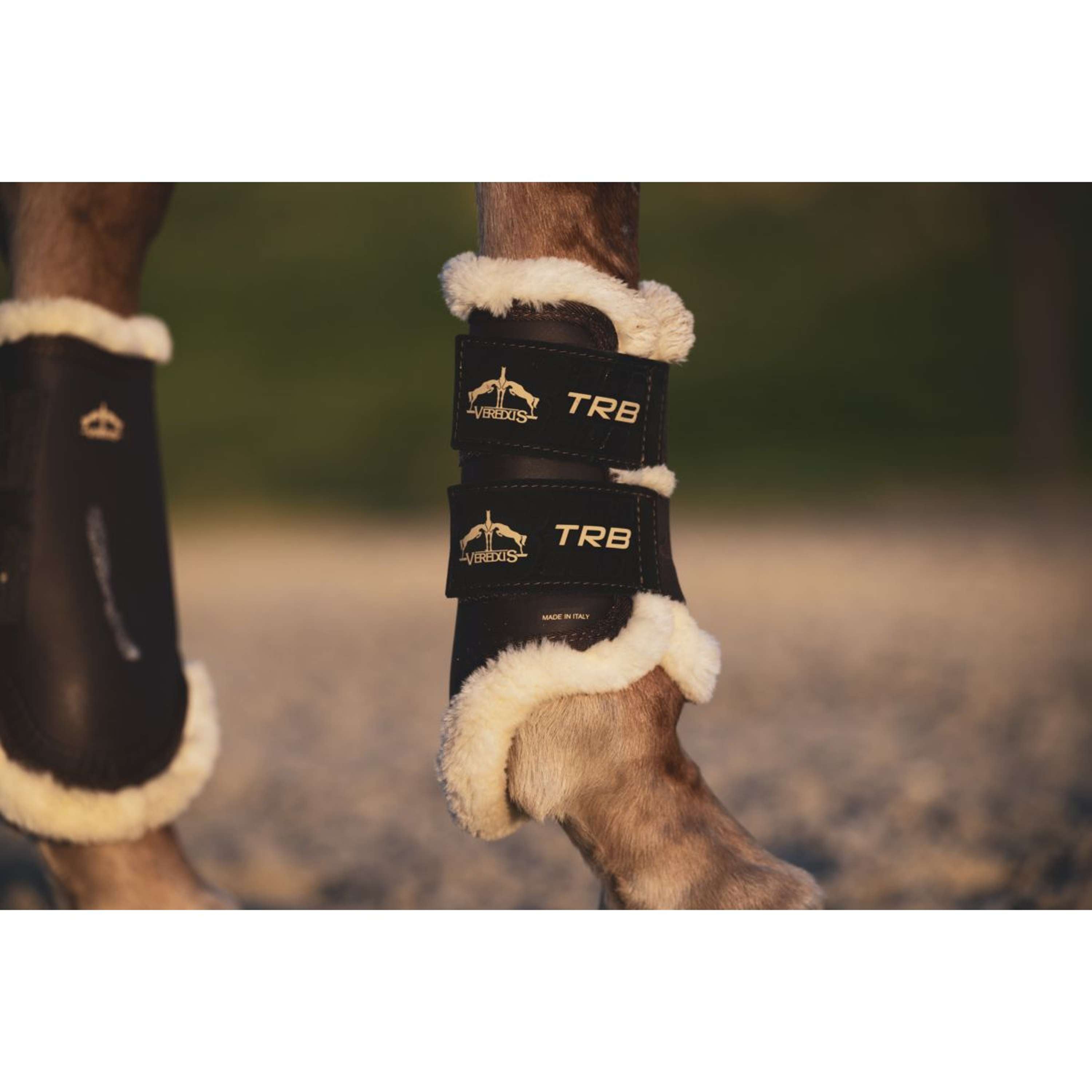 Veredus Leg Protectors TRB Save the Sheep Rear Black