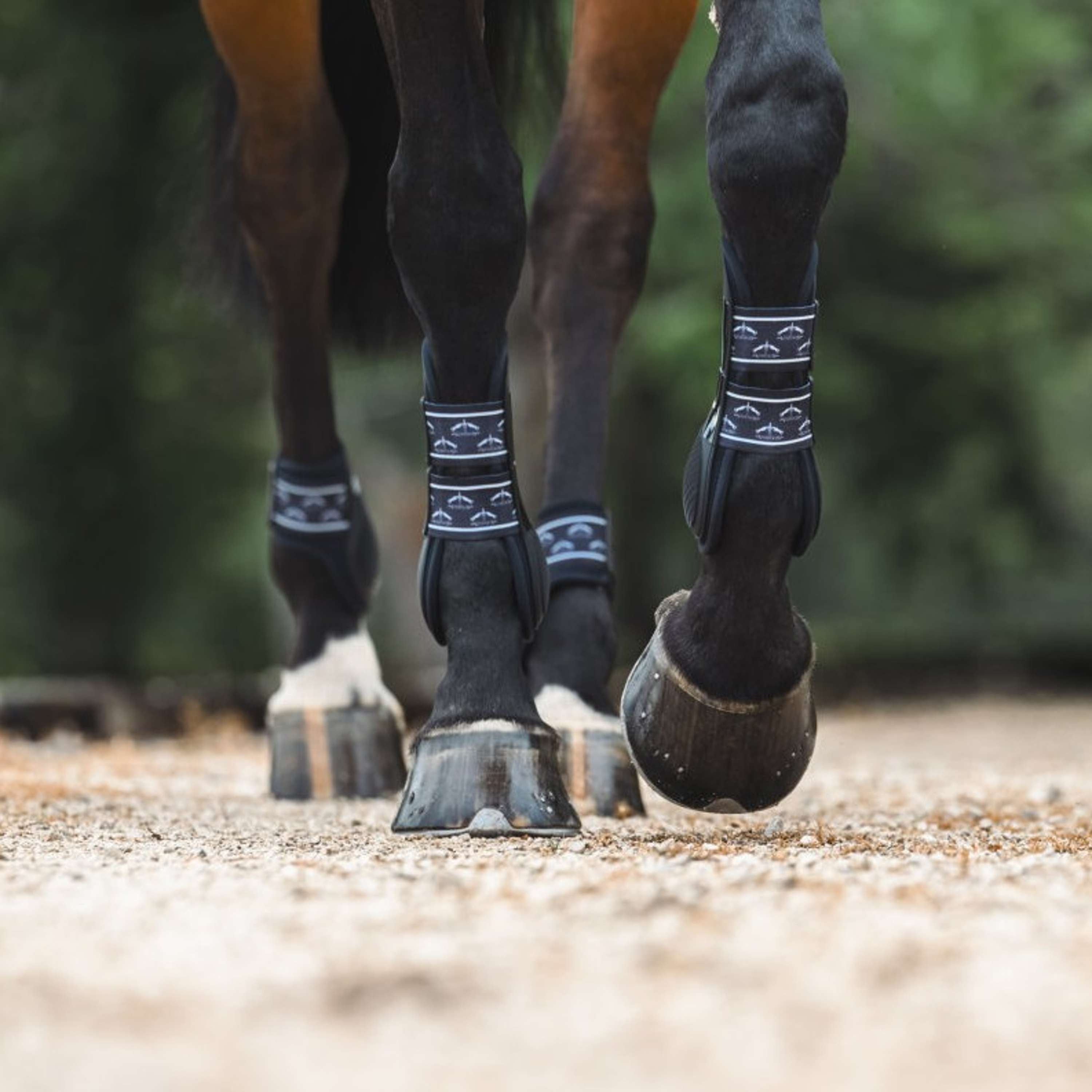 Veredus Tendon Boots TRH5 Front Black