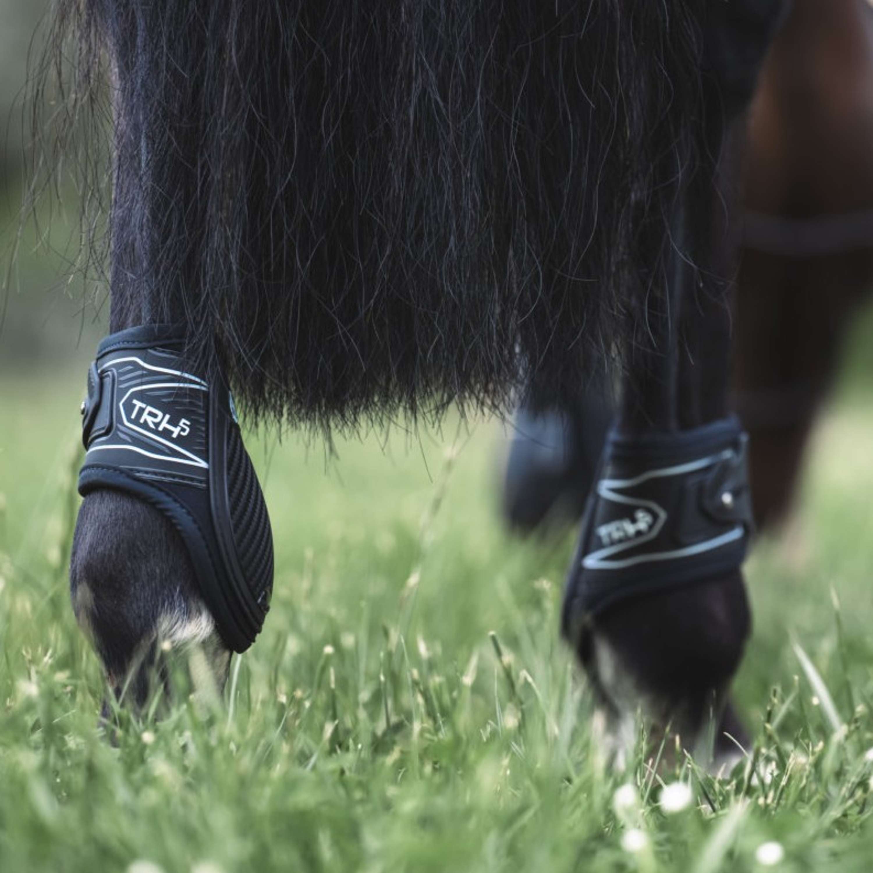 Veredus Fetlock Boots TRH5 Rear Black