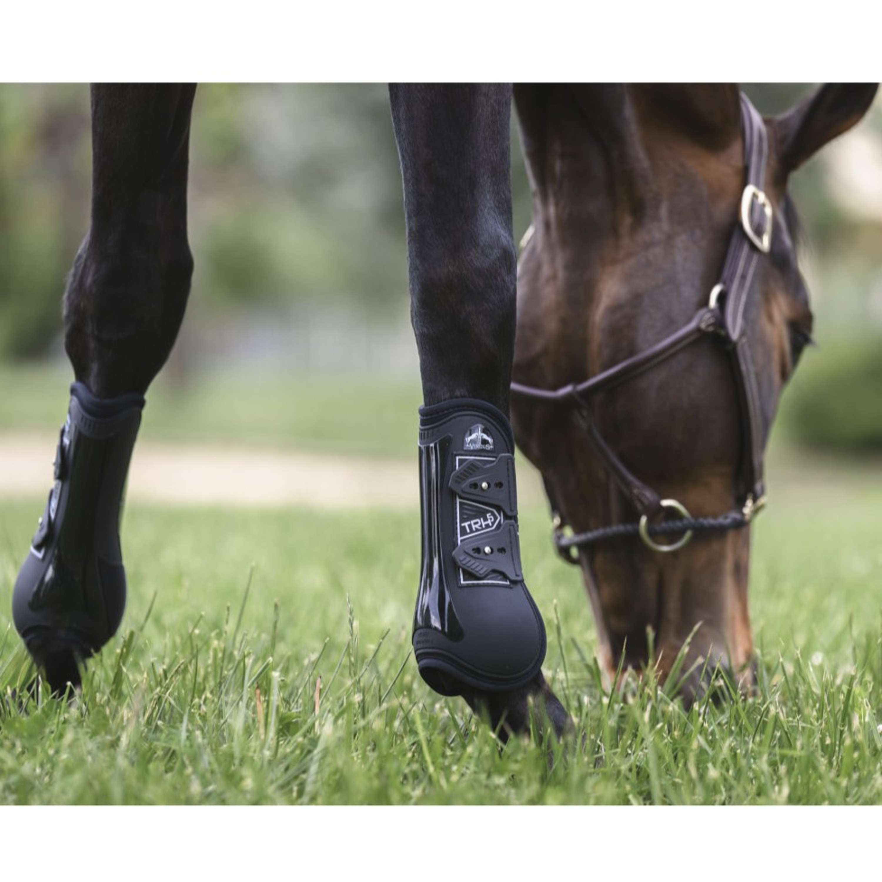 Veredus Tendon Boots TRH5 Front Black