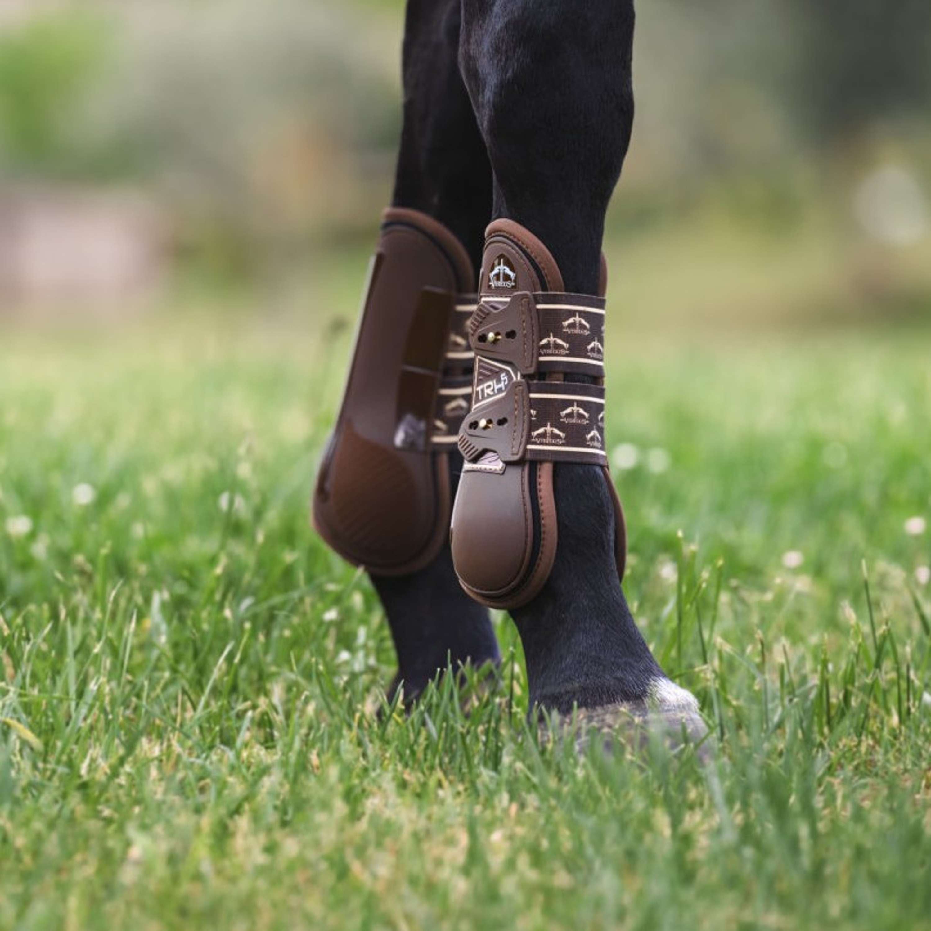 Veredus Tendon Boots TRH5 Front Brown