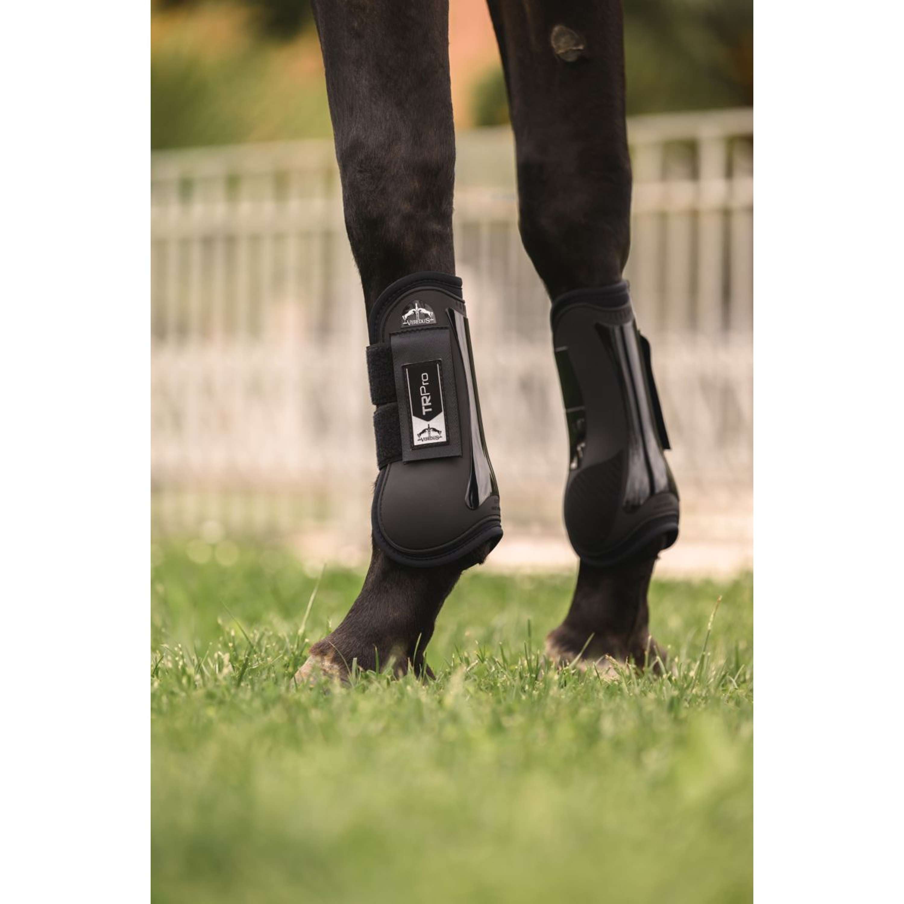 Veredus Tendon Boots TR PRO Front Black