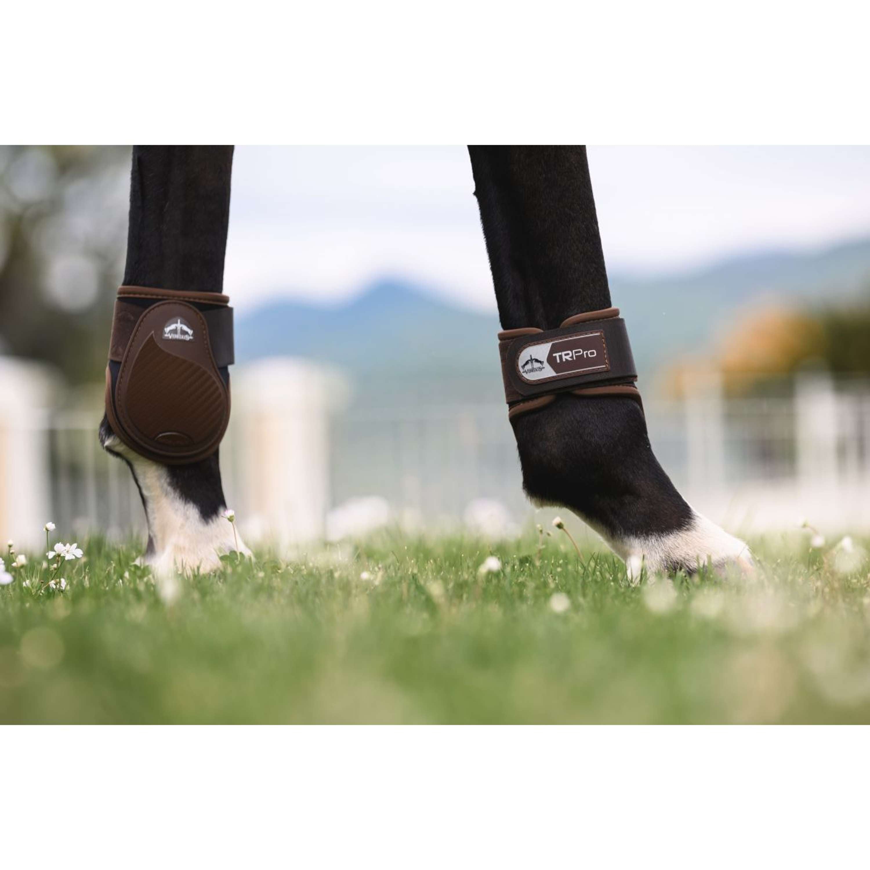 Veredus Fetlock Boots TR PRO Rear Brown