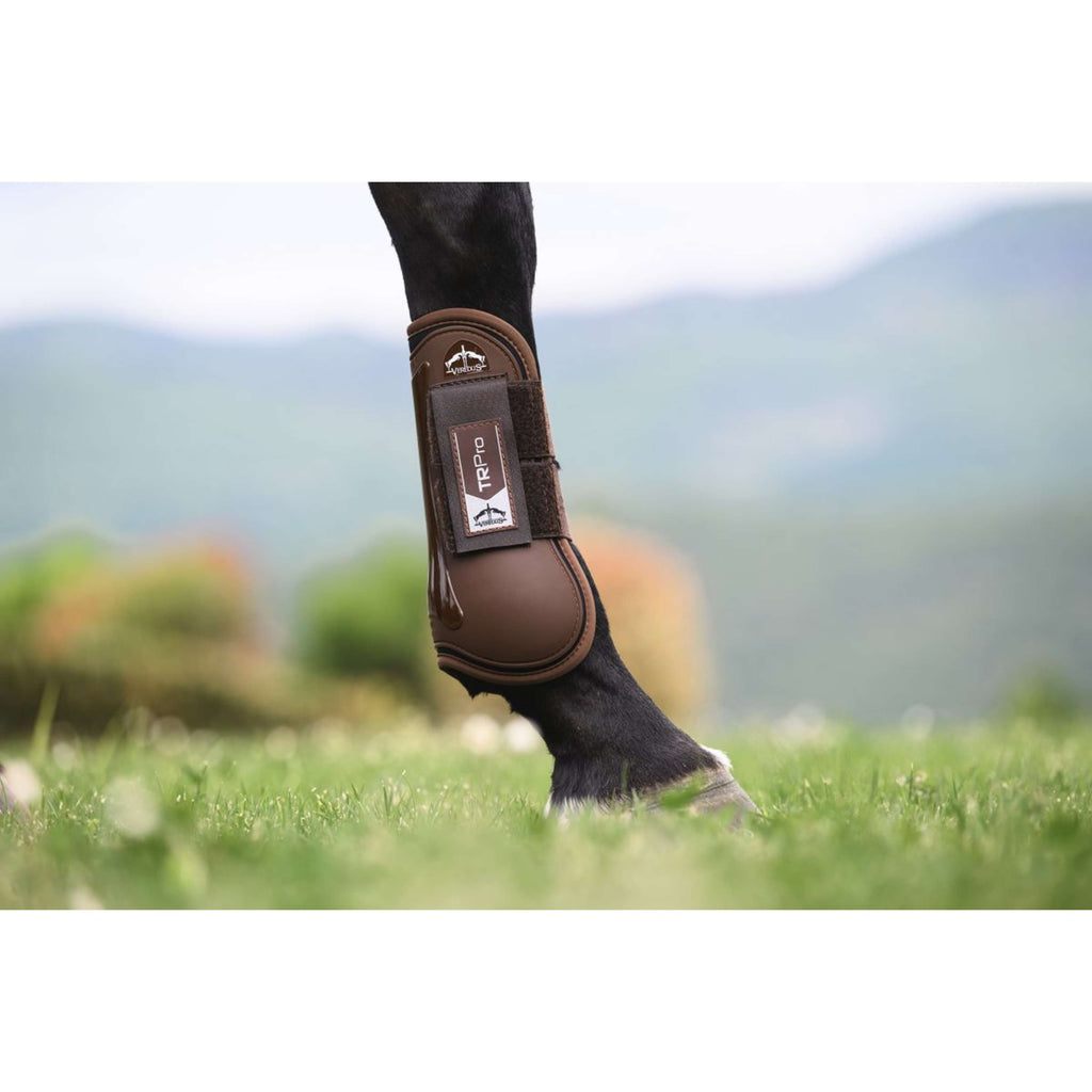 Veredus Tendon Boots TR PRO Front Brown