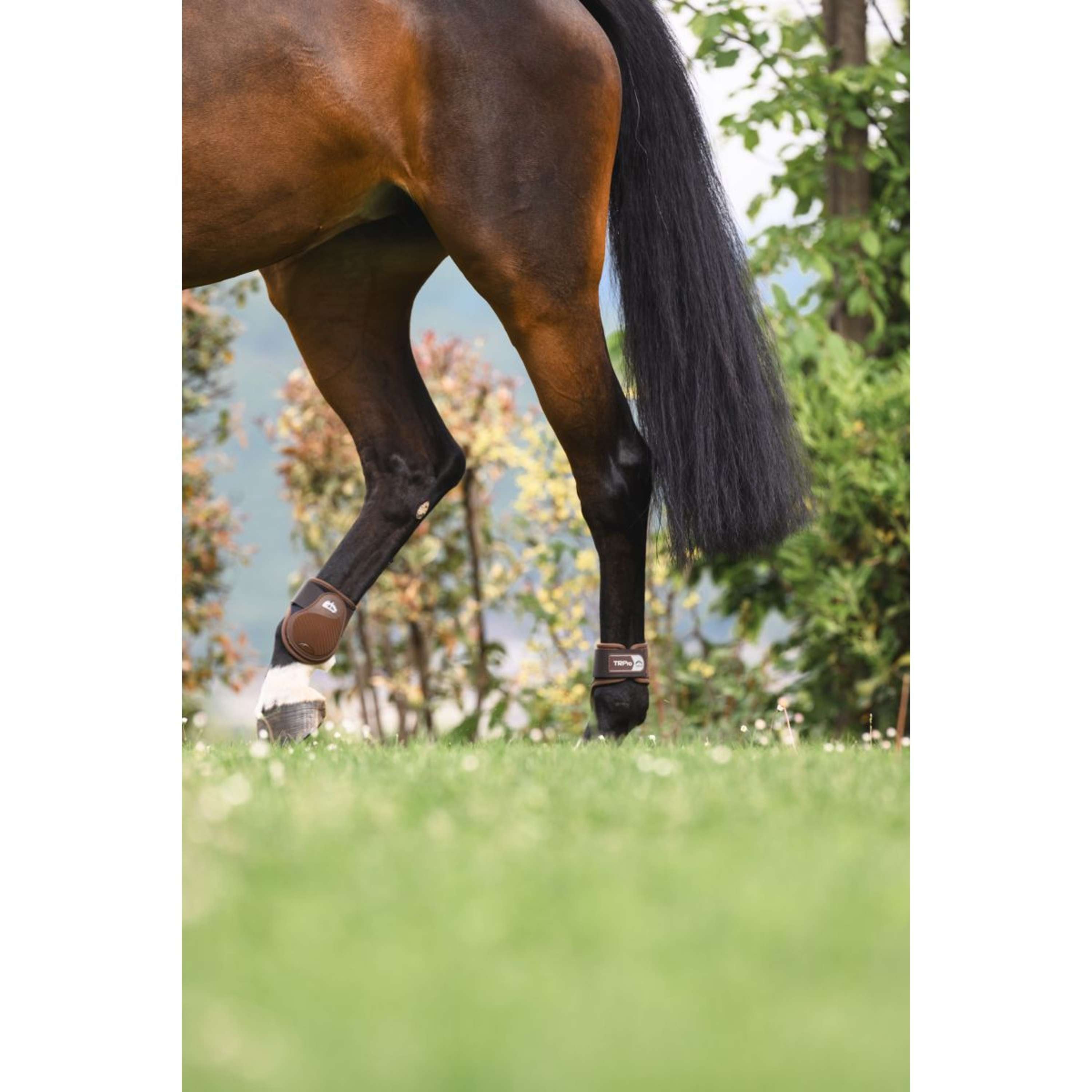 Veredus Fetlock Boots TR PRO Rear Brown