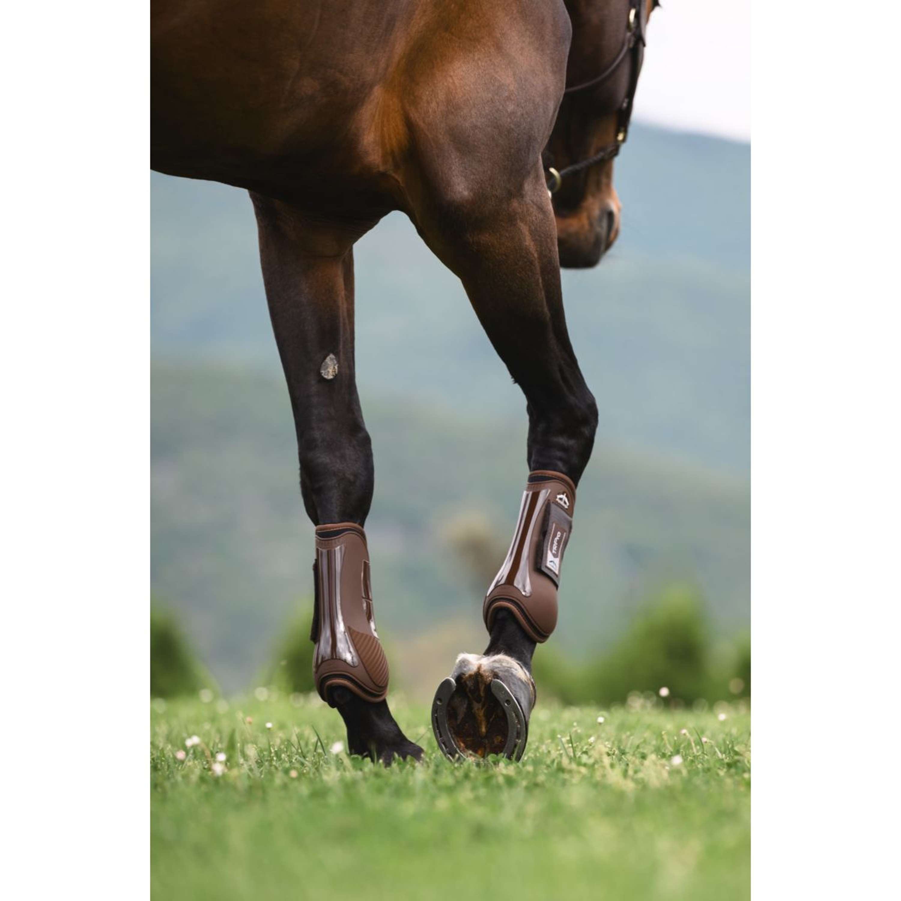 Veredus Tendon Boots TR PRO Front Brown