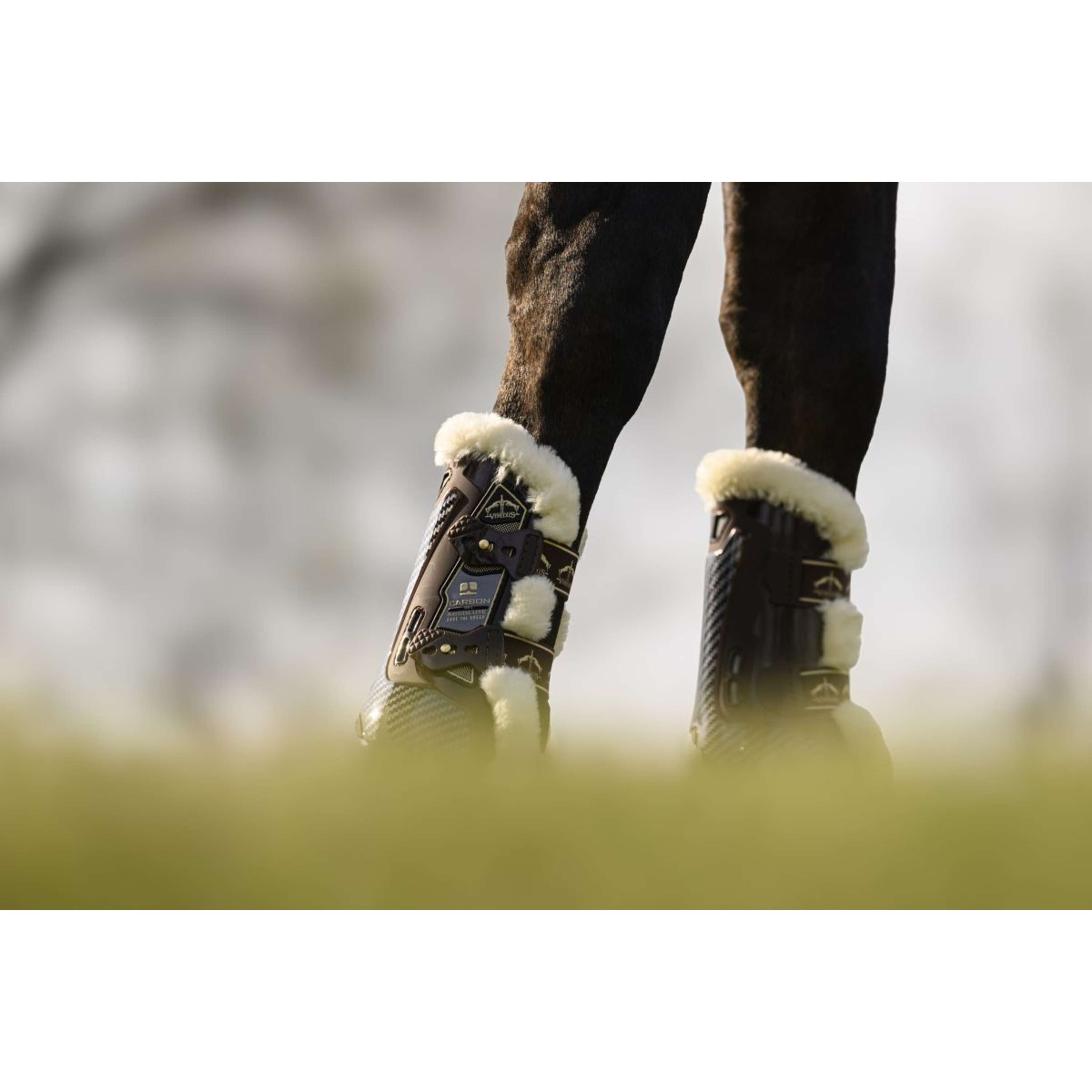 Veredus Tendon Boots Carbon Gel Absolute Save the Sheep Front Brown