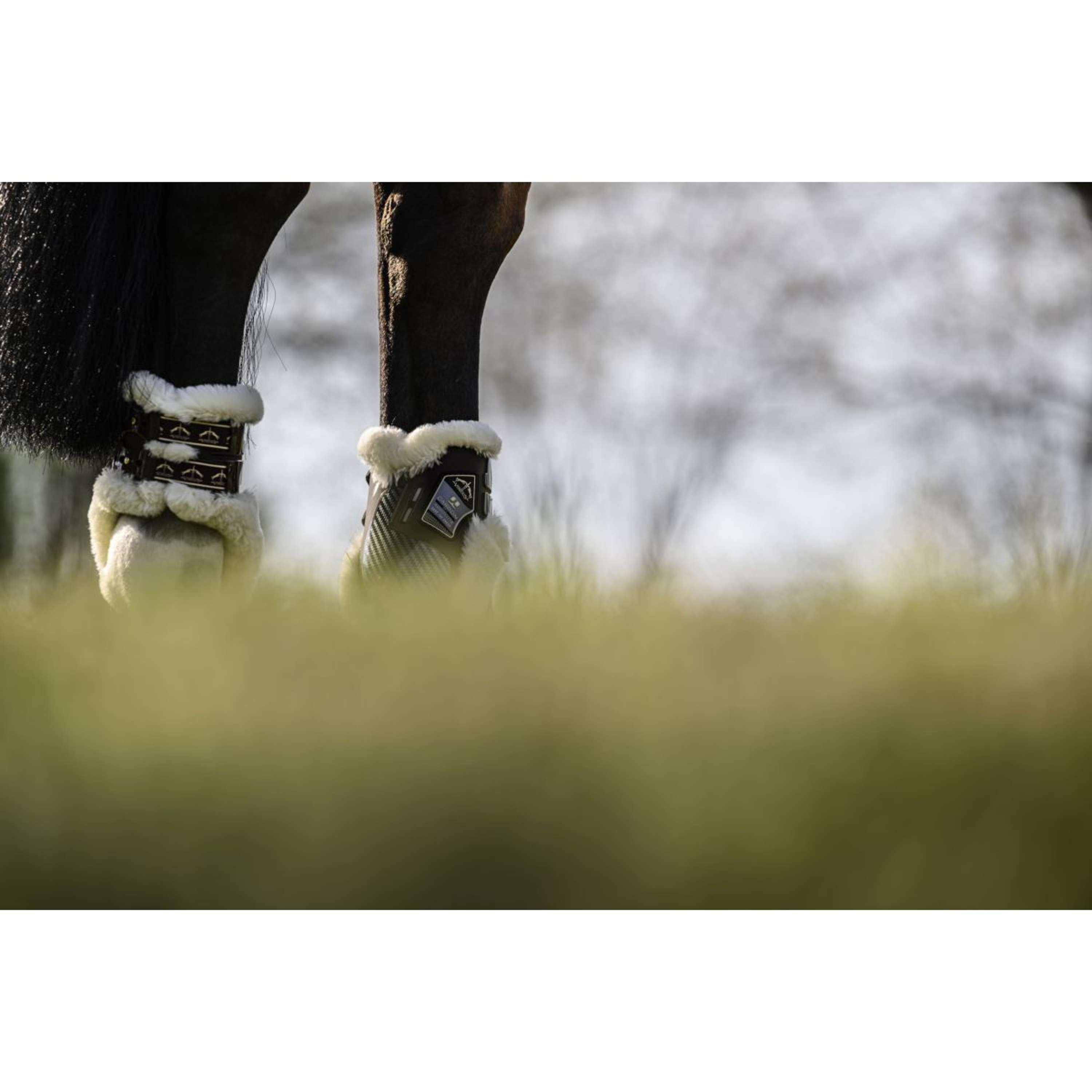Veredus Fetlock Boots Carbon Gel Absolute Save the Sheep Rear  Brown