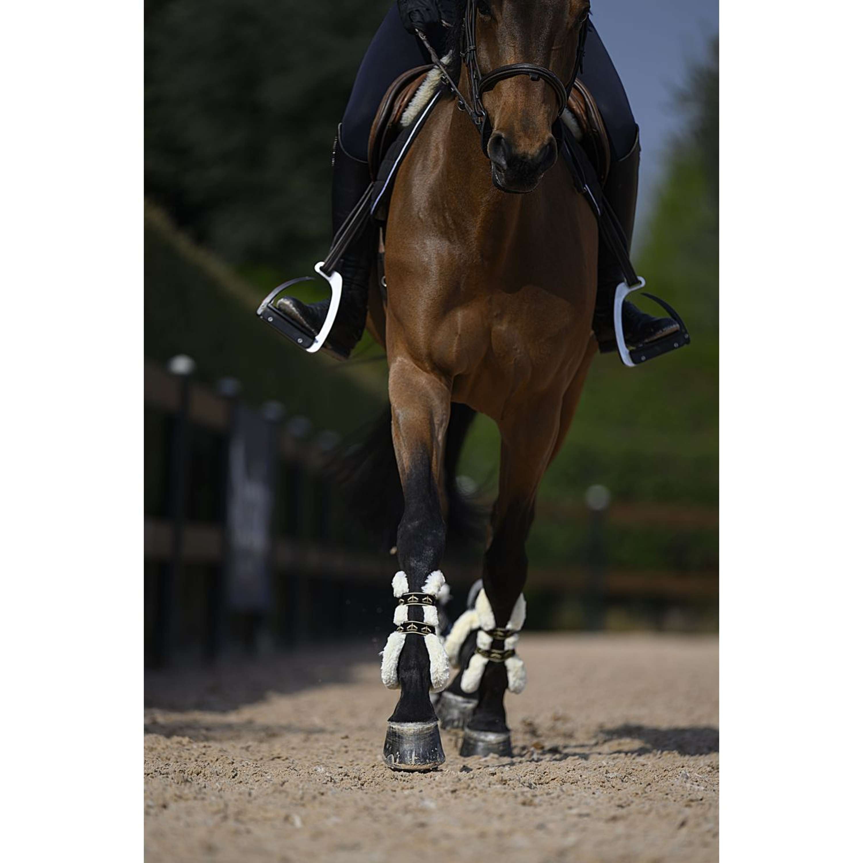 Veredus Tendon Boots Carbon Gel Absolute Save the Sheep Front Black