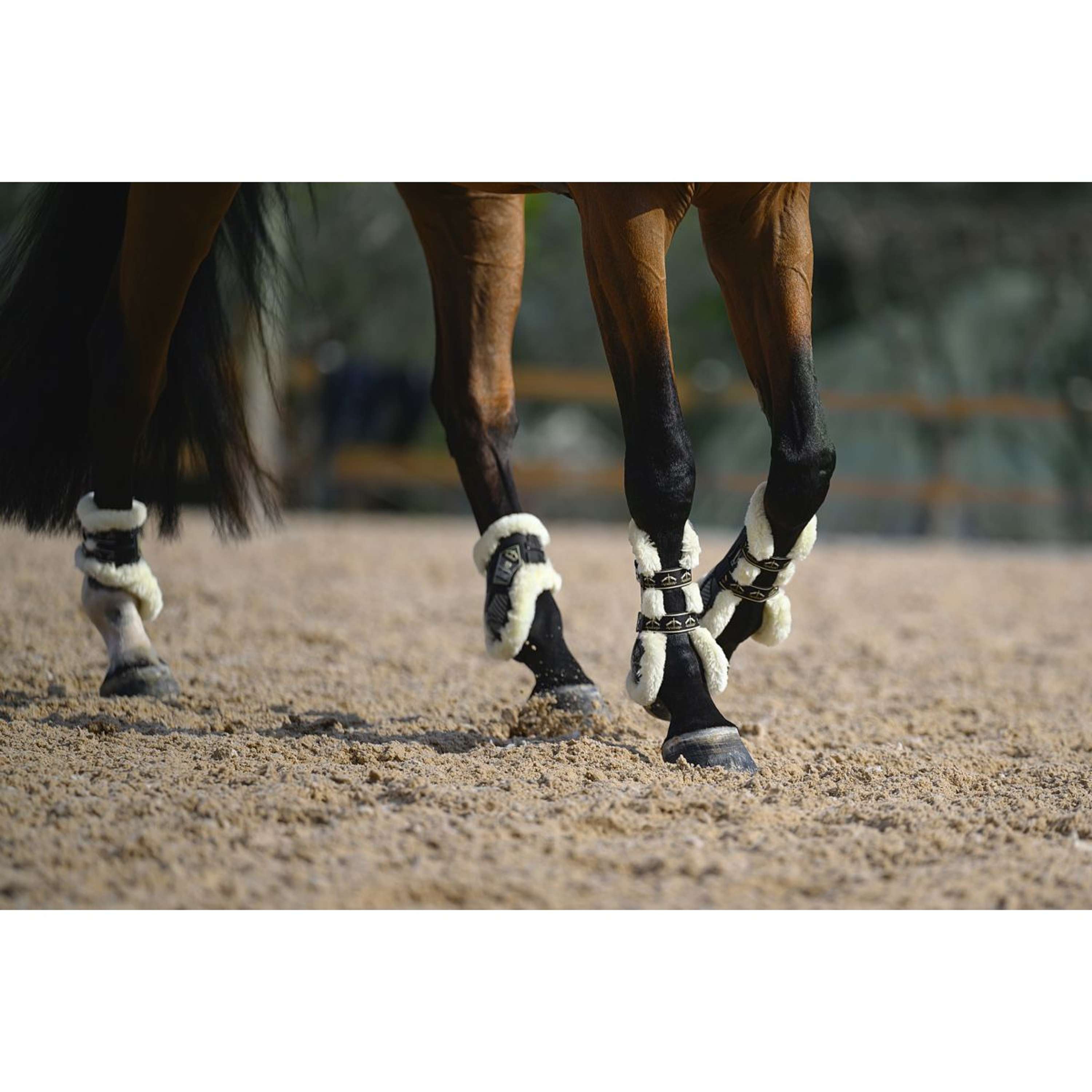 Veredus Fetlock Boots Carbon Gel Absolute Save the Sheep Rear  Black