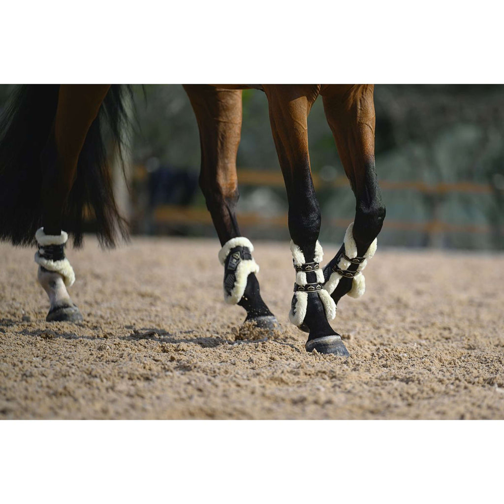 Veredus Fetlock Boots Carbon Gel Absolute Save the Sheep Rear  Black