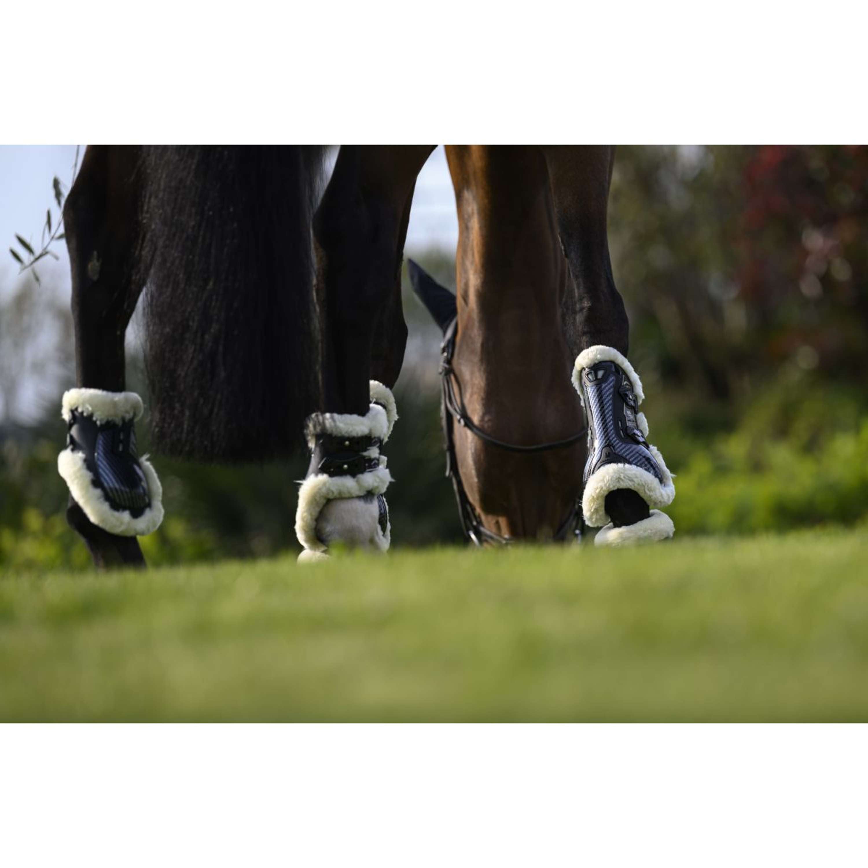Veredus Tendon Boots Carbon Gel Absolute Save the Sheep Front Black