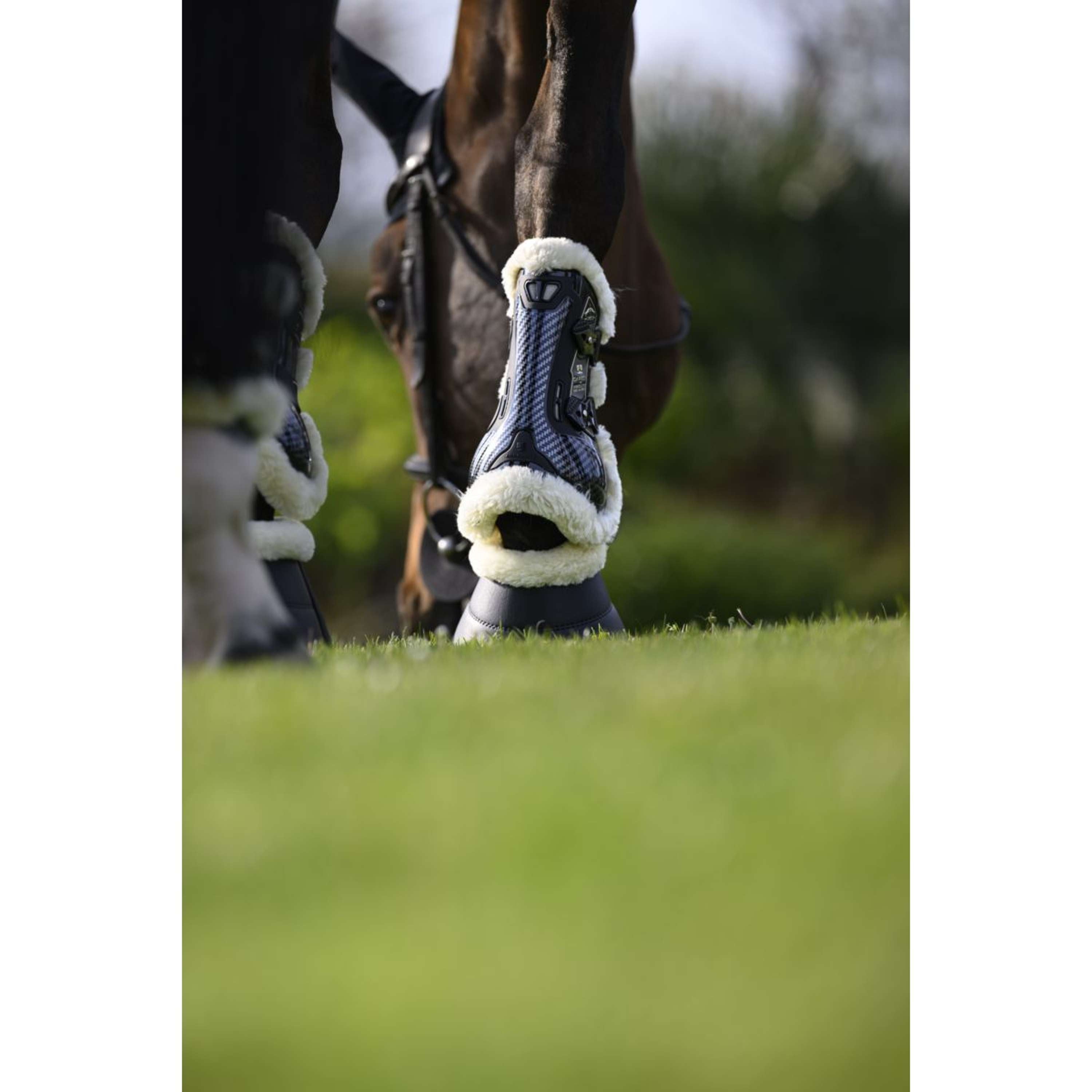 Veredus Tendon Boots Carbon Gel Absolute Save the Sheep Front Black