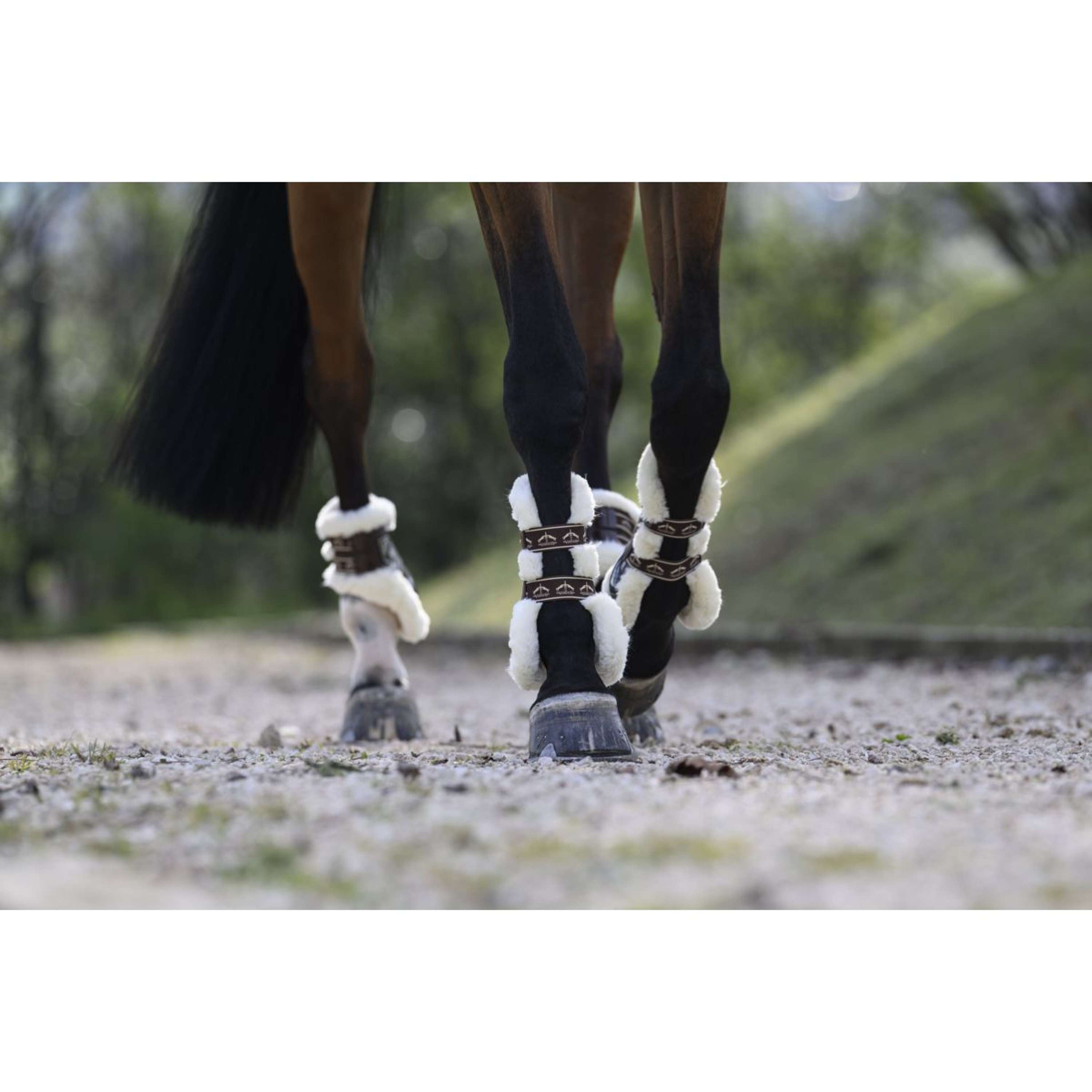 Veredus Tendon Boots Carbon Gel Absolute Save the Sheep Front Brown