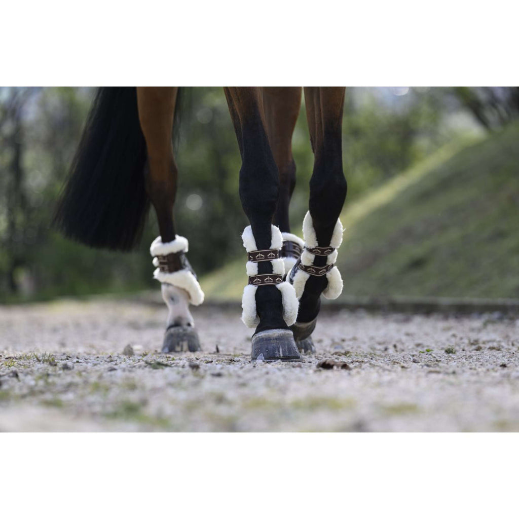 Veredus Tendon Boots Carbon Gel Absolute Save the Sheep Front Brown