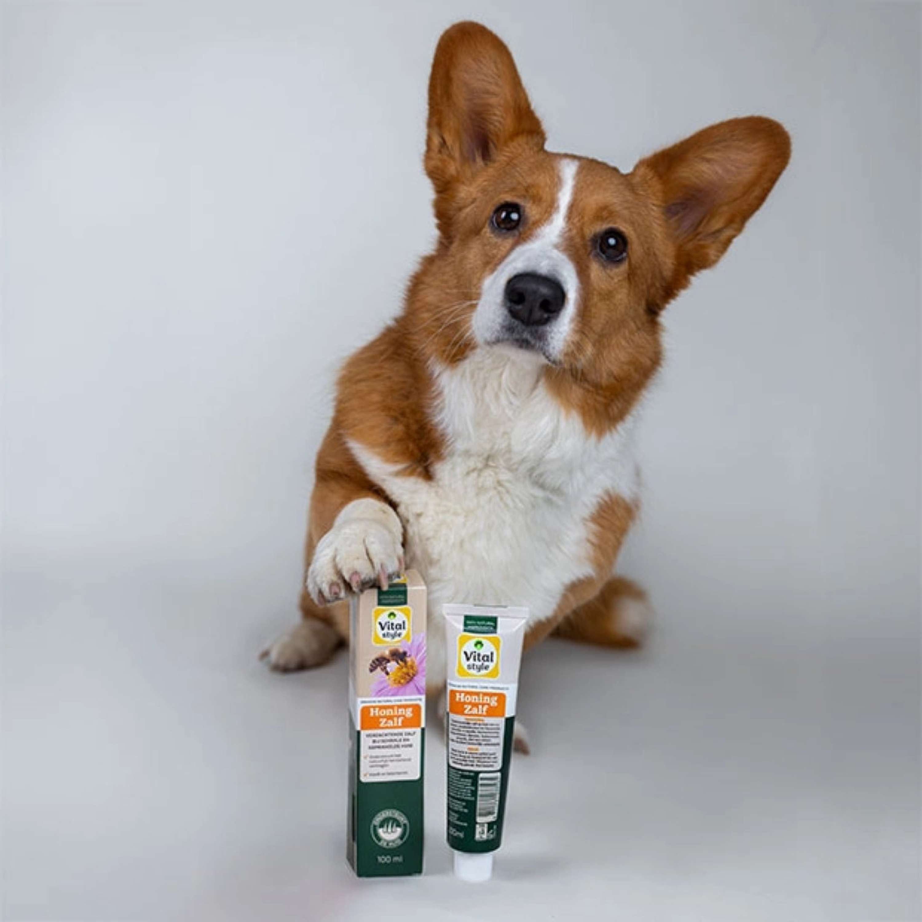 Vitalstyle Honey Ointment