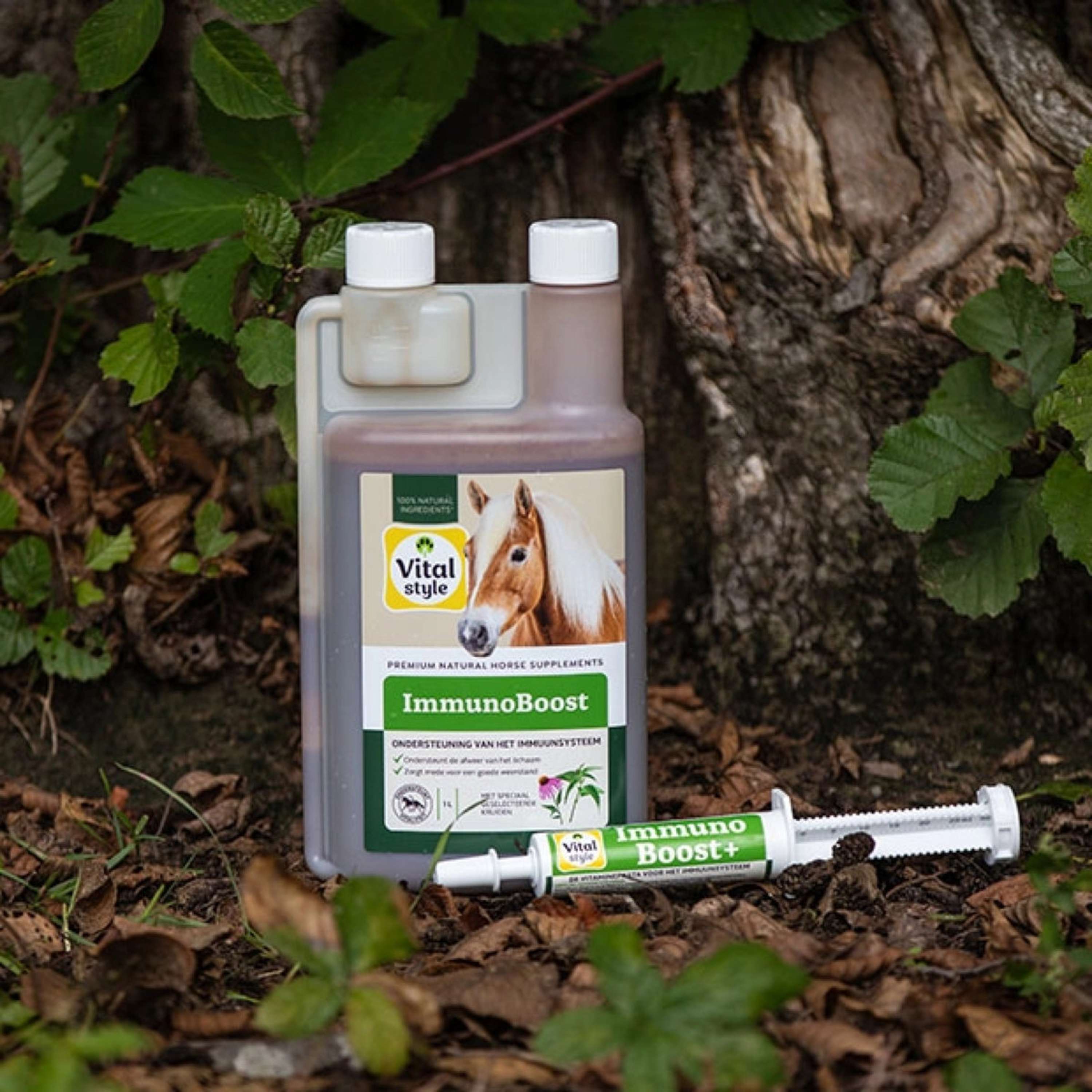 Vitalstyle ImmunoBoost