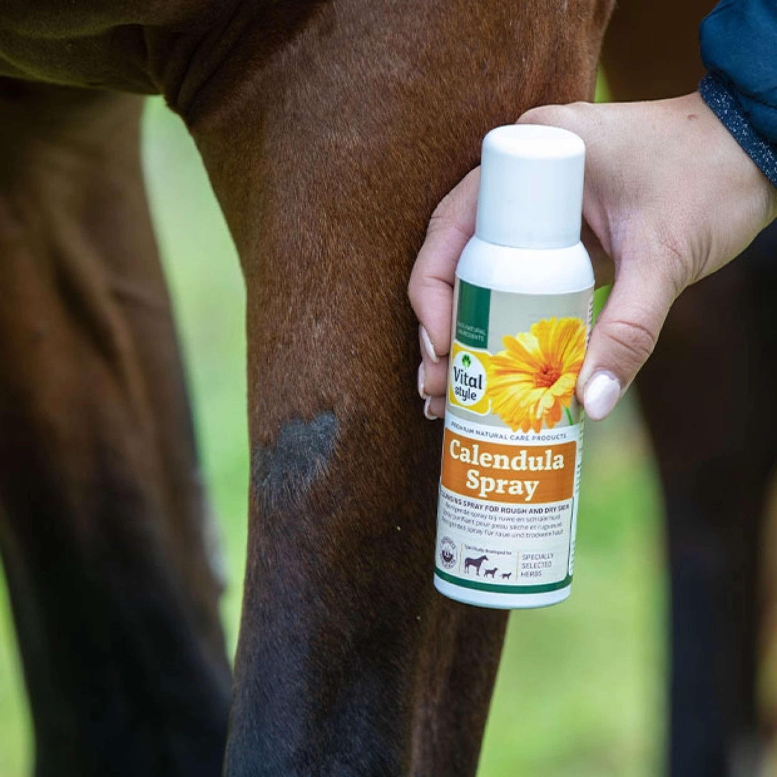 Vitalstyle Spray Calendula
