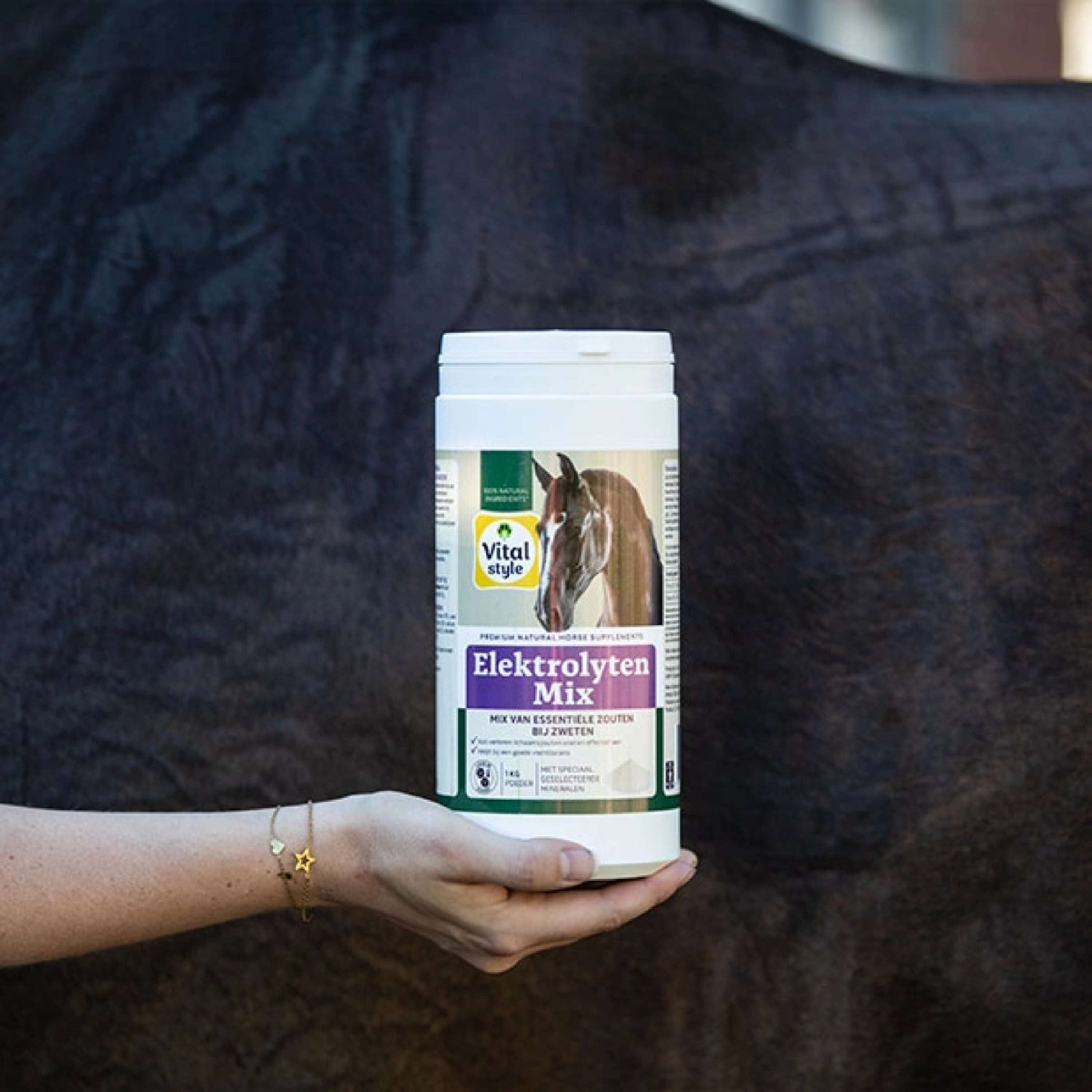 Vitalstyle Electrolytes Mix Horse