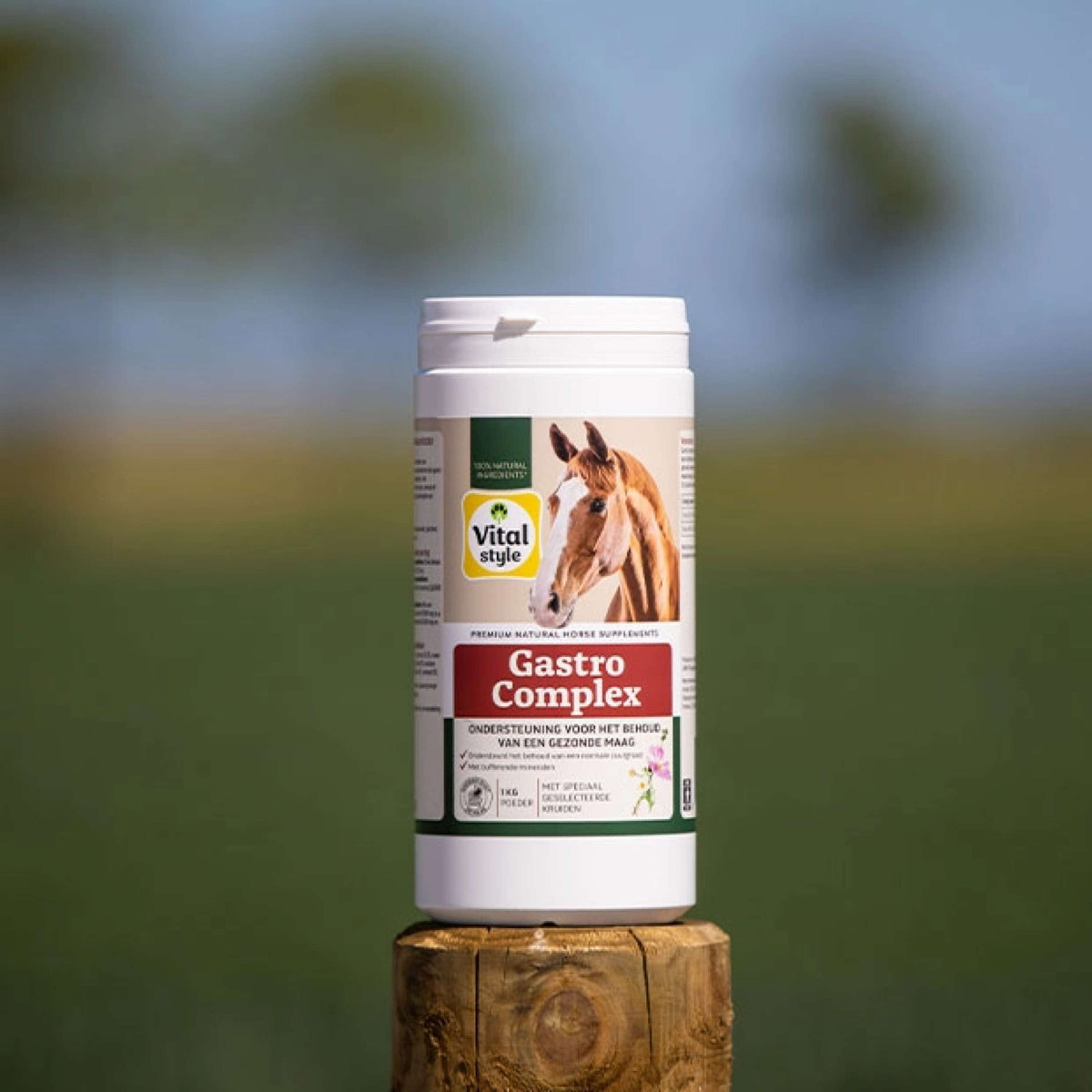 Vitalstyle GastroComplex