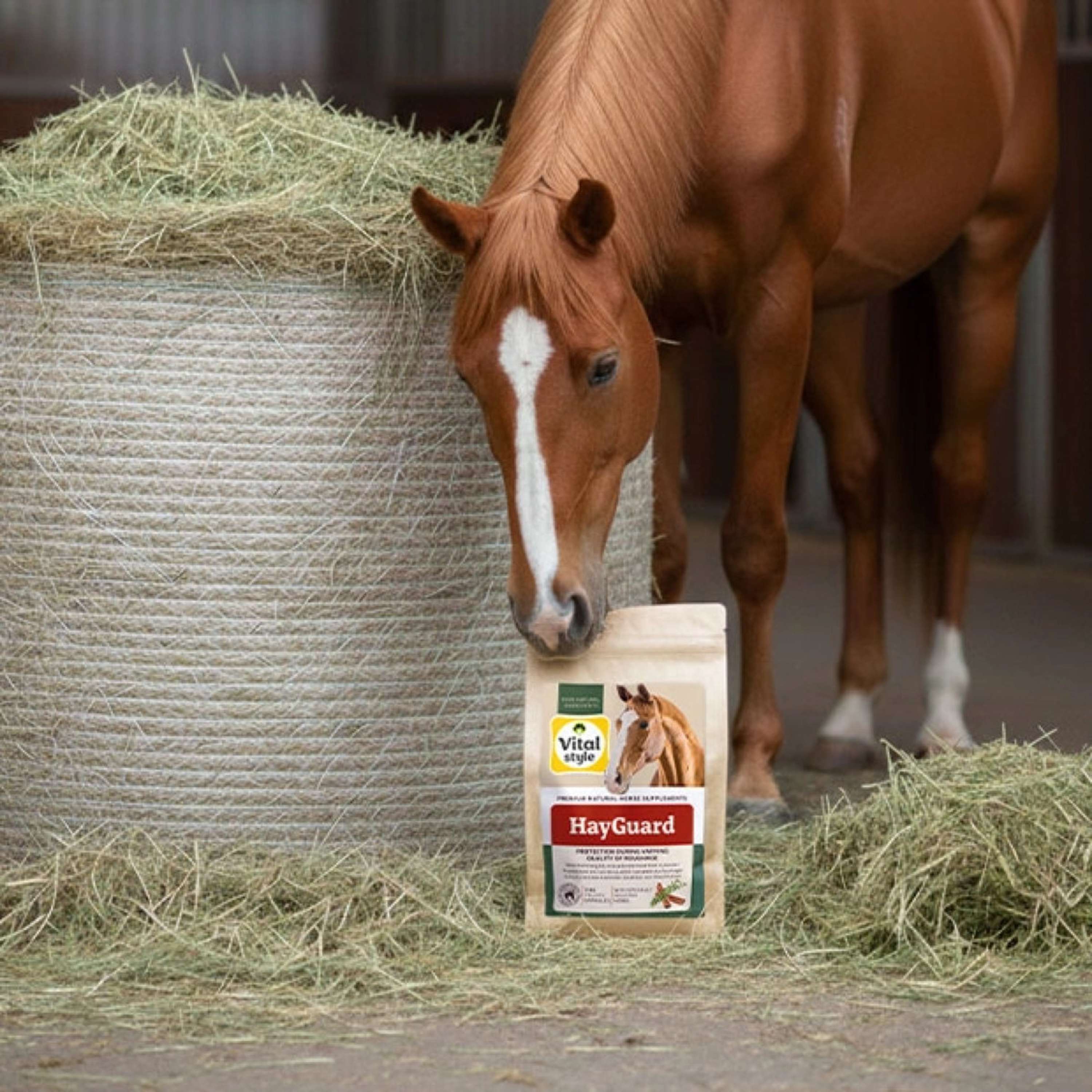 Vitalstyle HayGuard