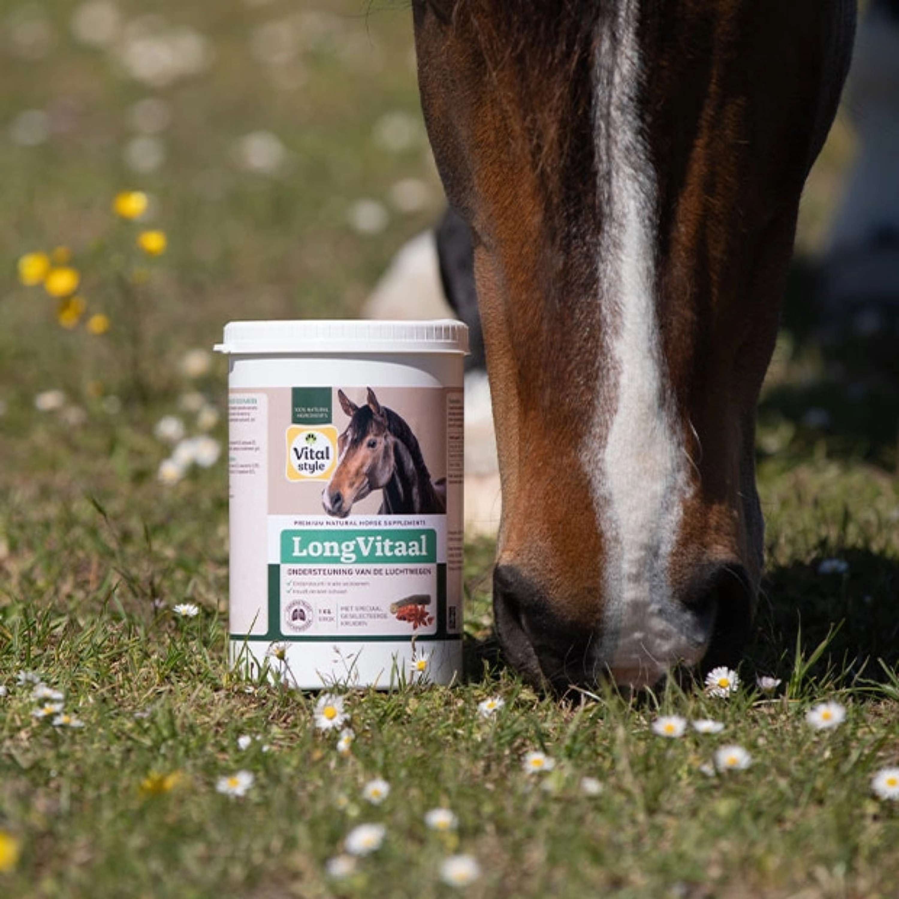 Vitalstyle LongVitaal