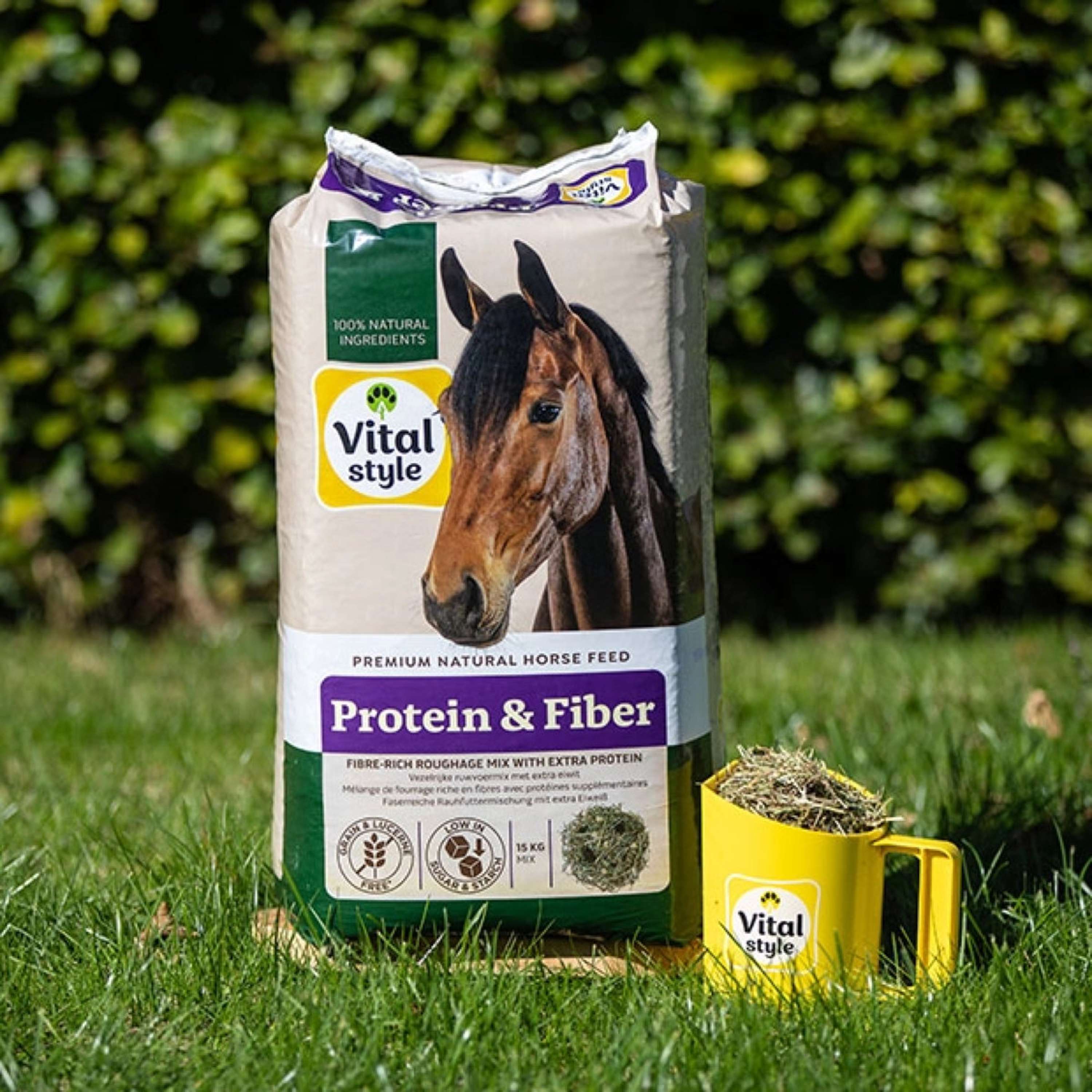 Vitalstyle Roughage Mix Protein & Fiber