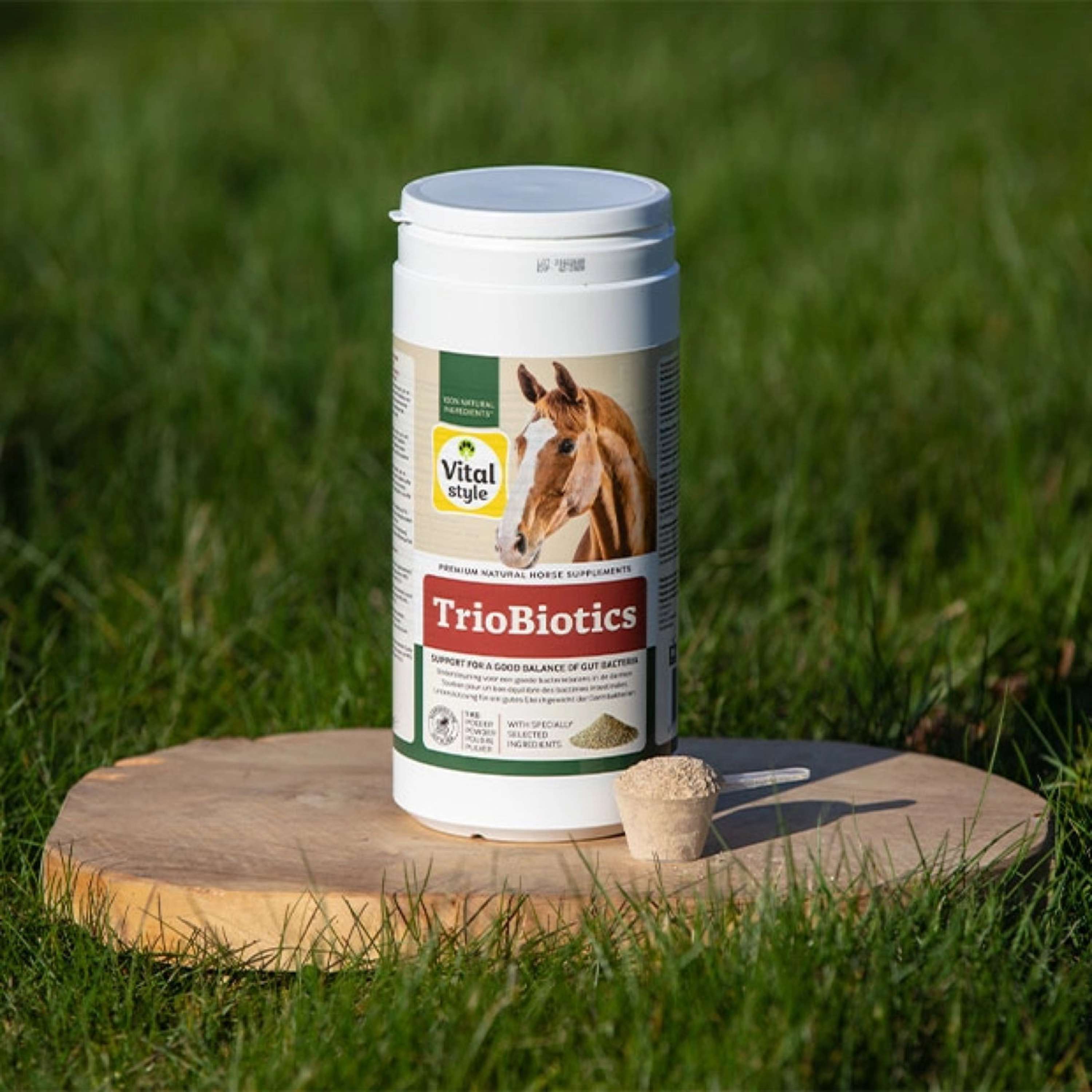 Vitalstyle TrioBiotics