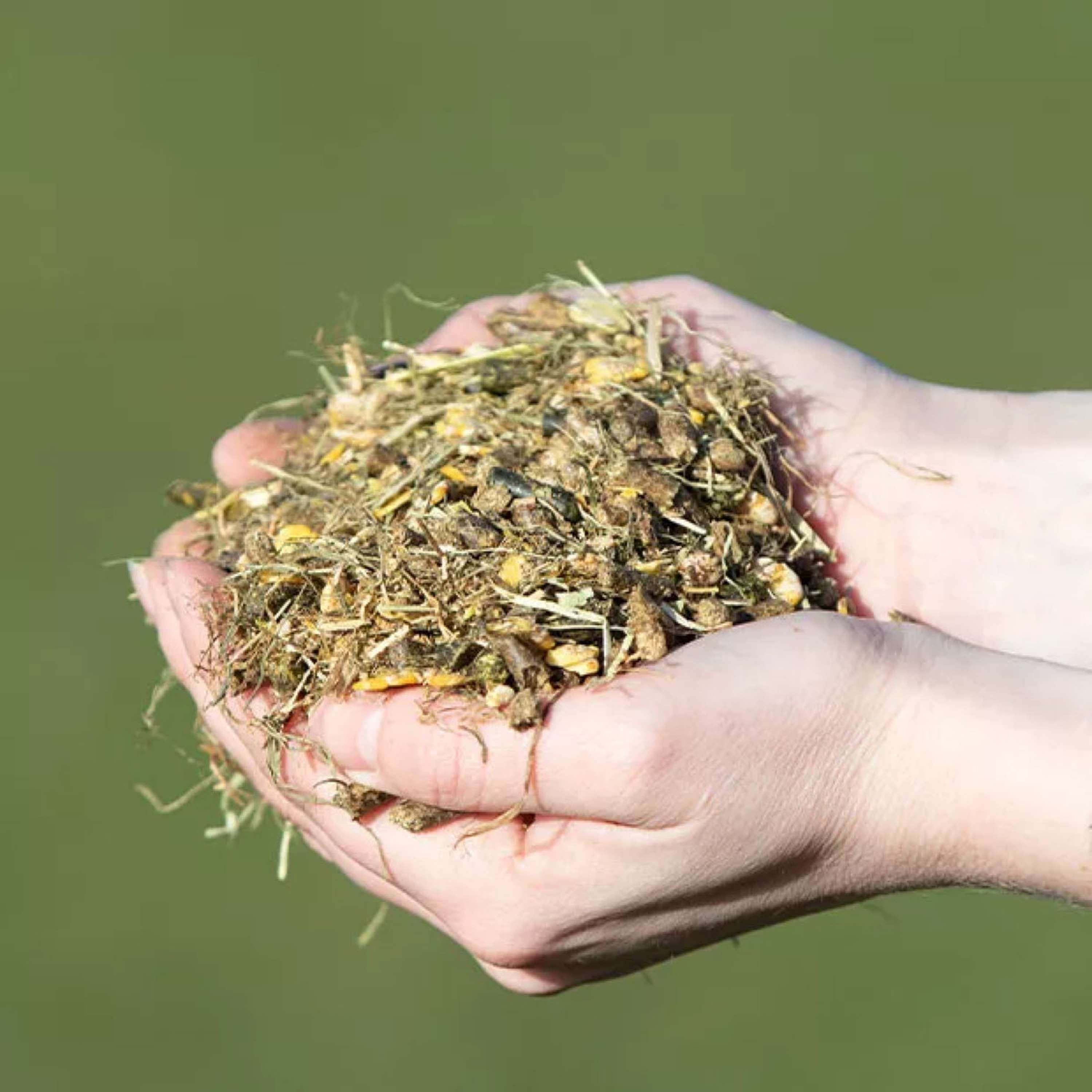 Vitalstyle Muesli Young & Breed