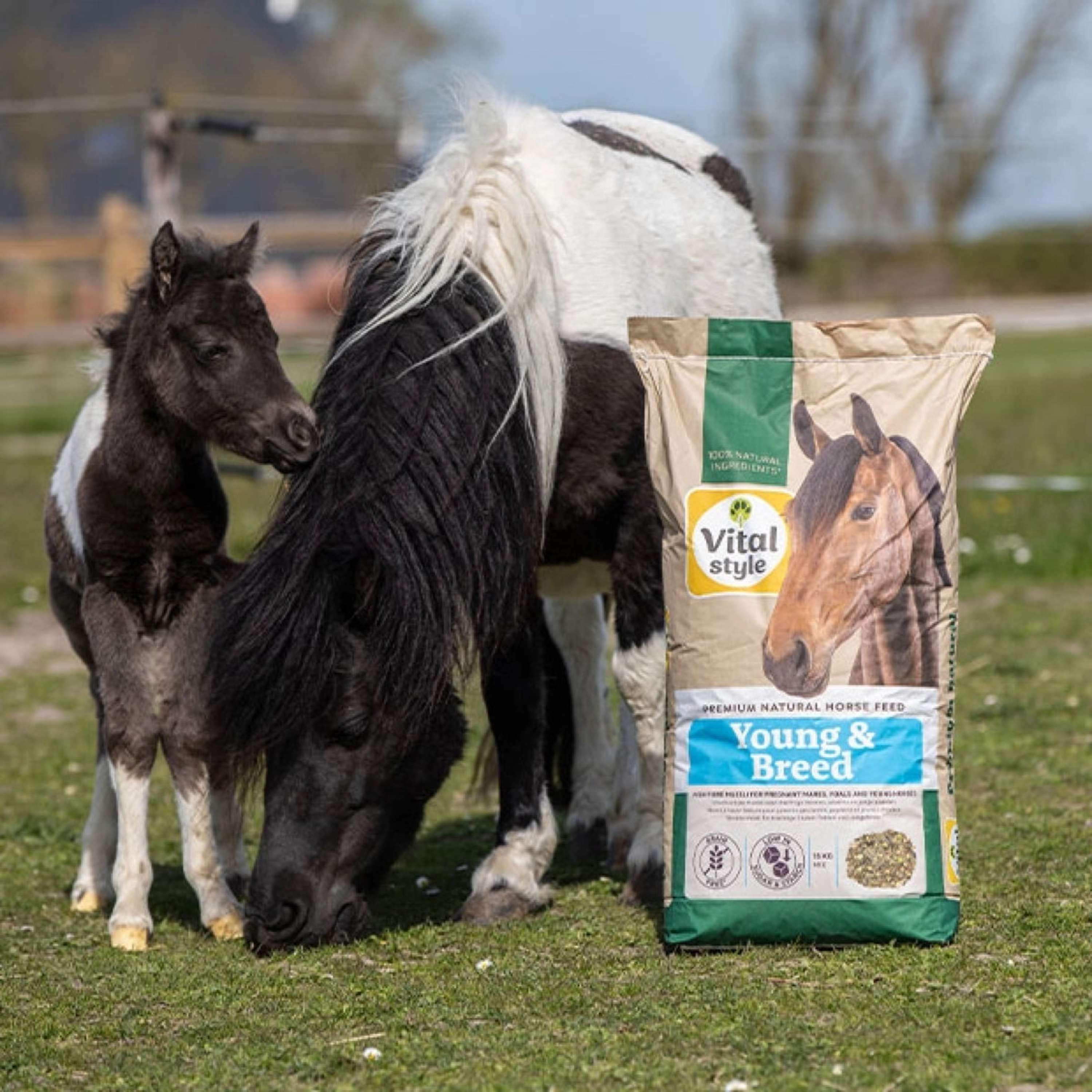 Vitalstyle Muesli Young & Breed