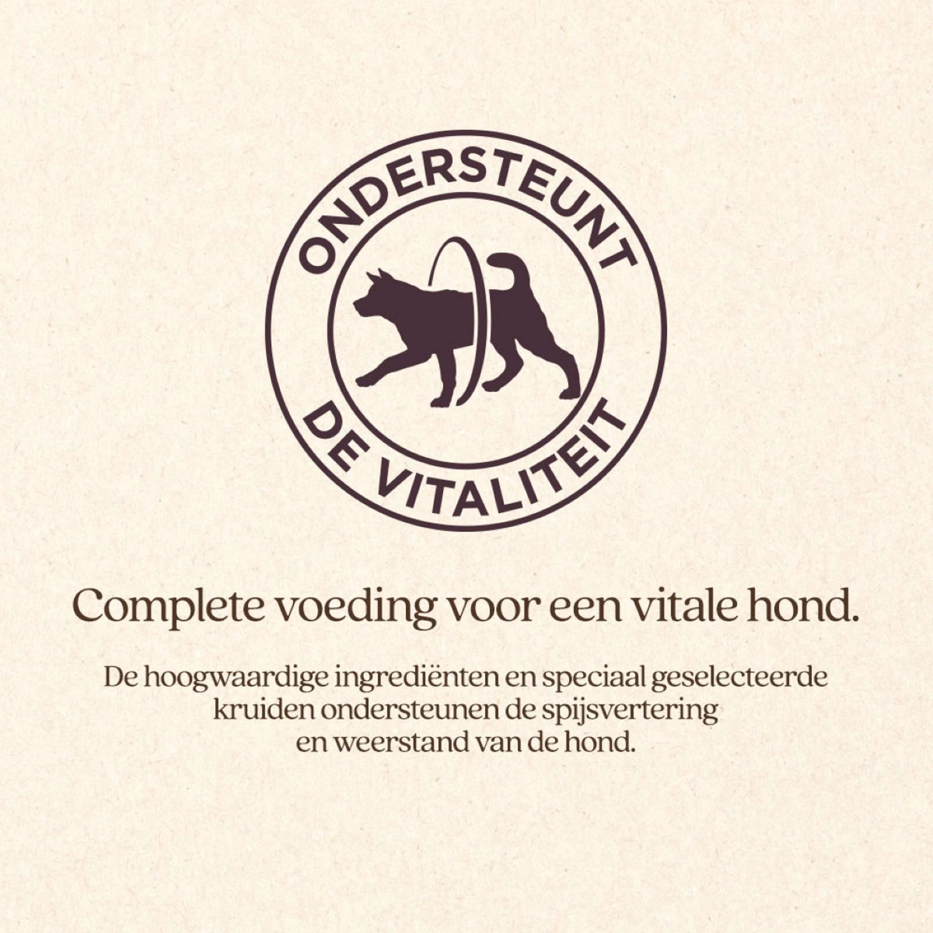 Vitalstyle Dog Adult