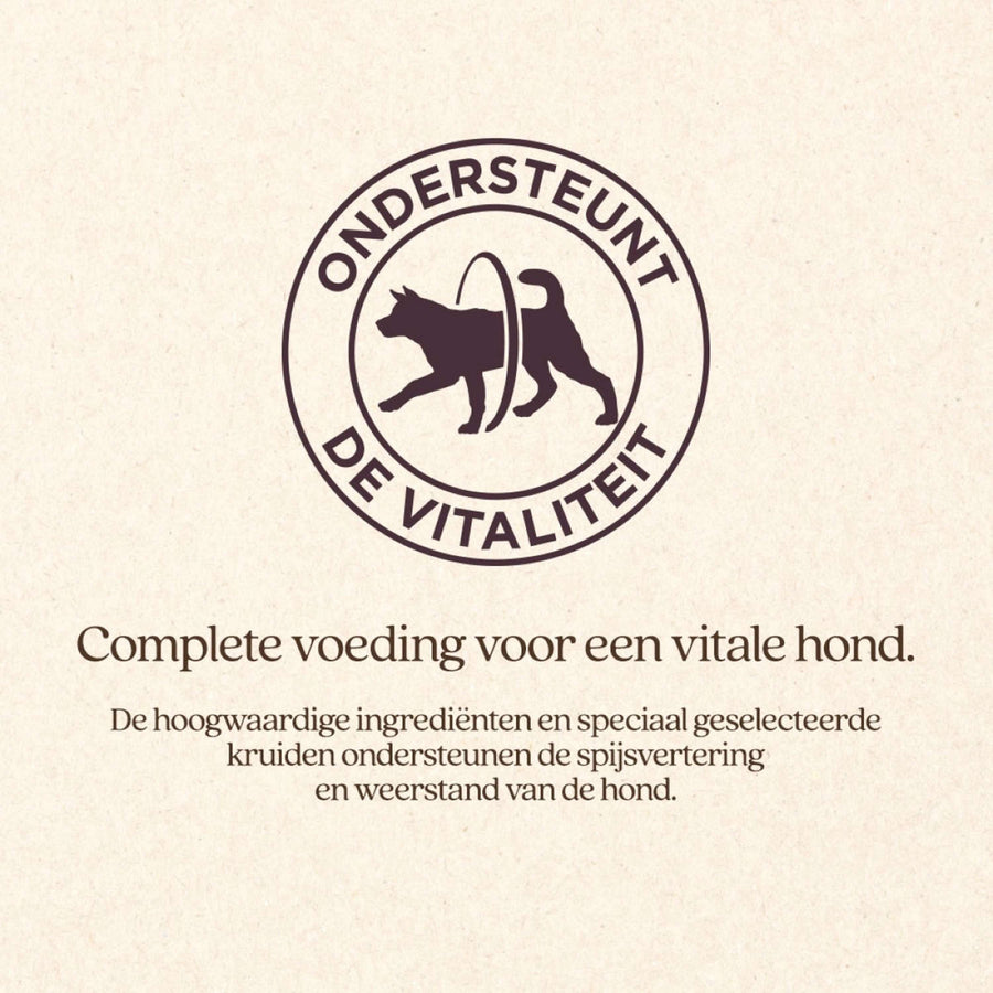 Vitalstyle Dog Adult