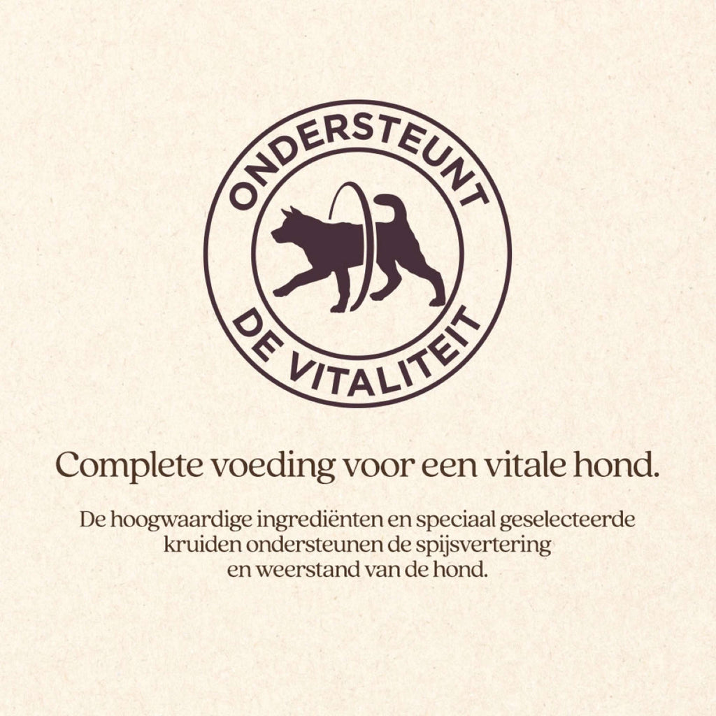 Vitalstyle Dog Adult